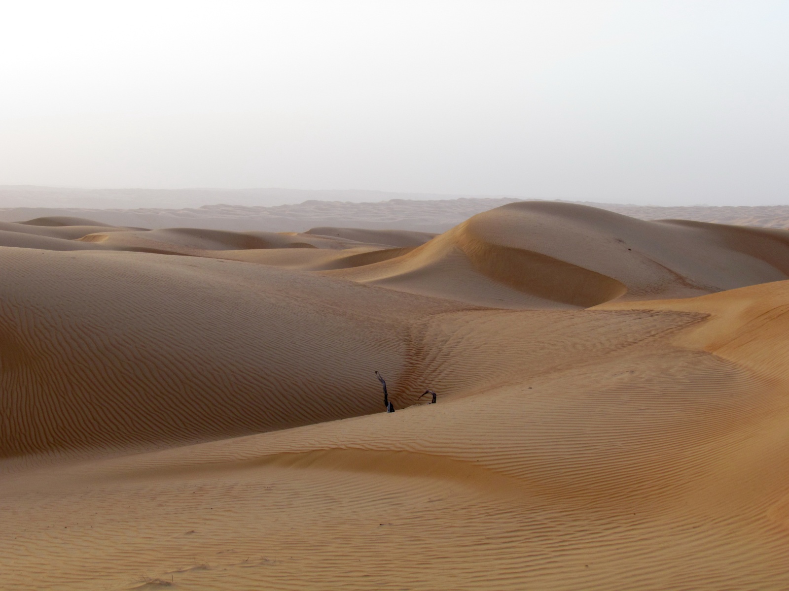 Wahiba Sands desert