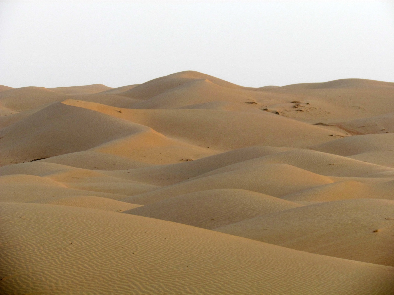 Wahiba Sands desert