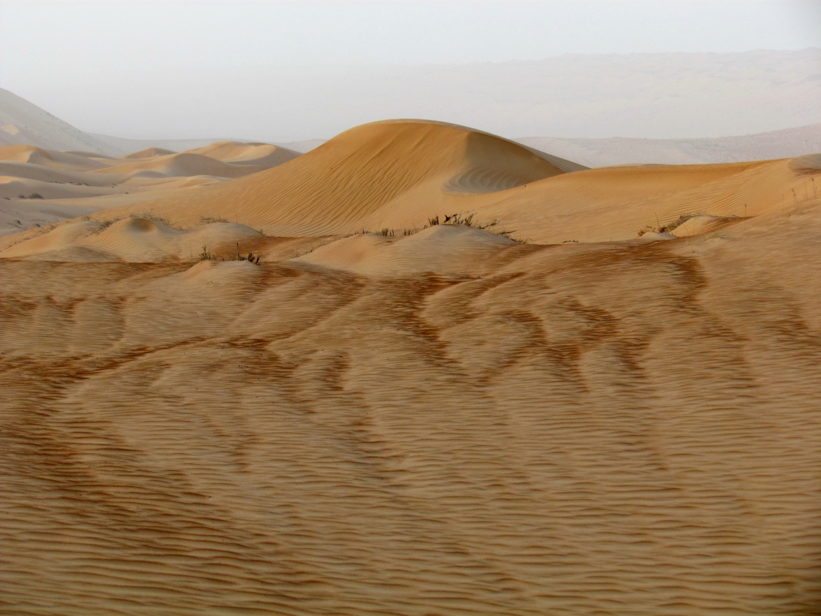Wahiba Sands desert