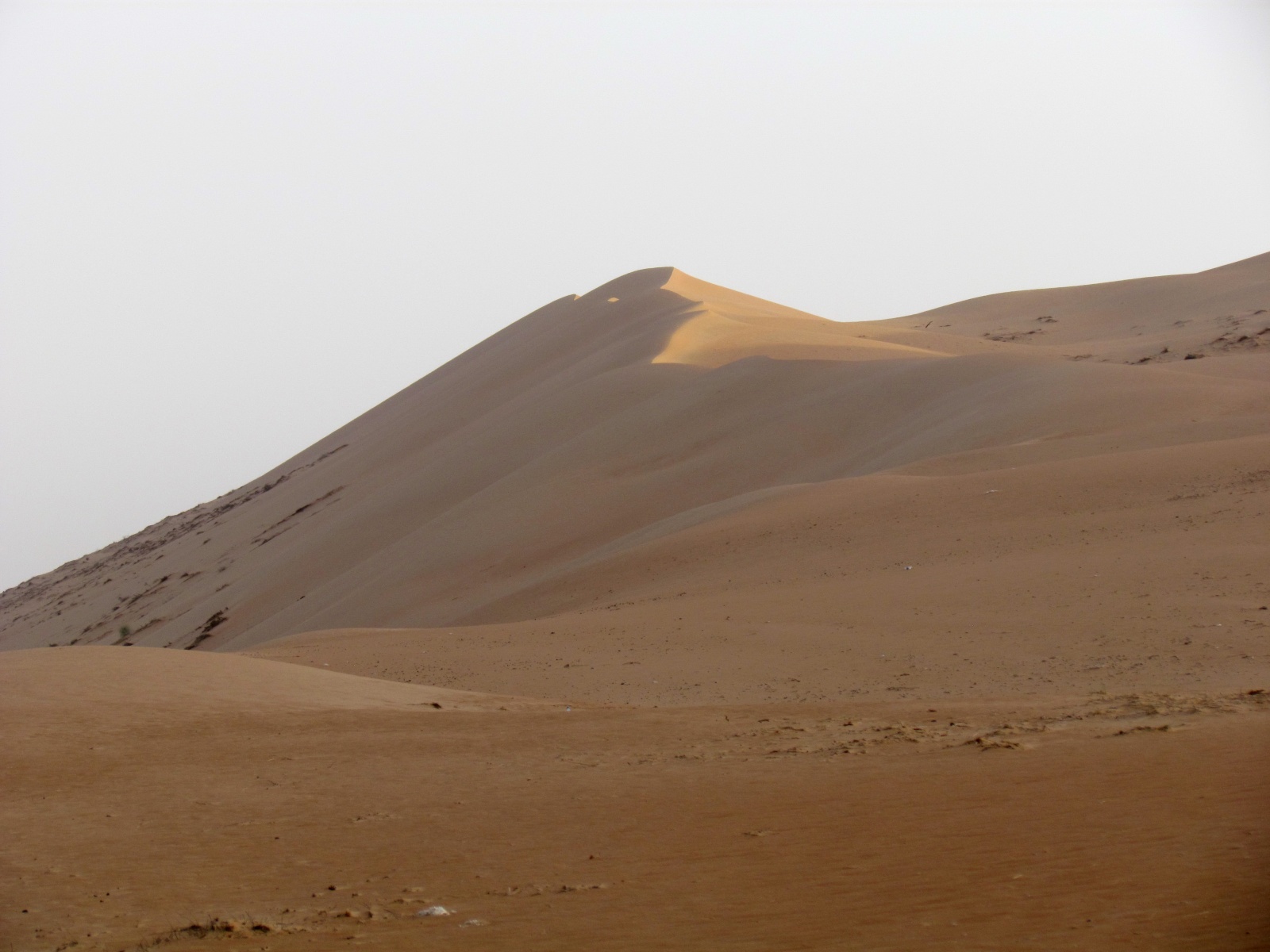 Wahiba Sands desert