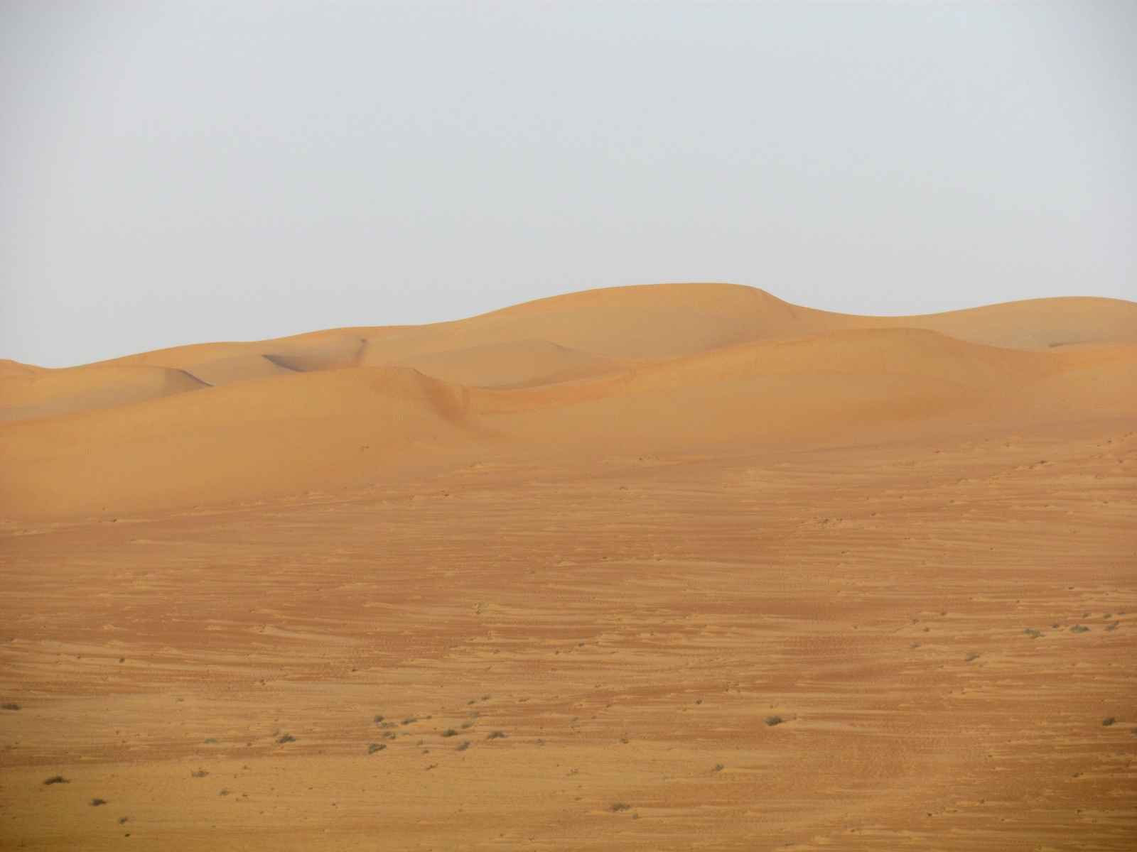 Wahiba Sands desert