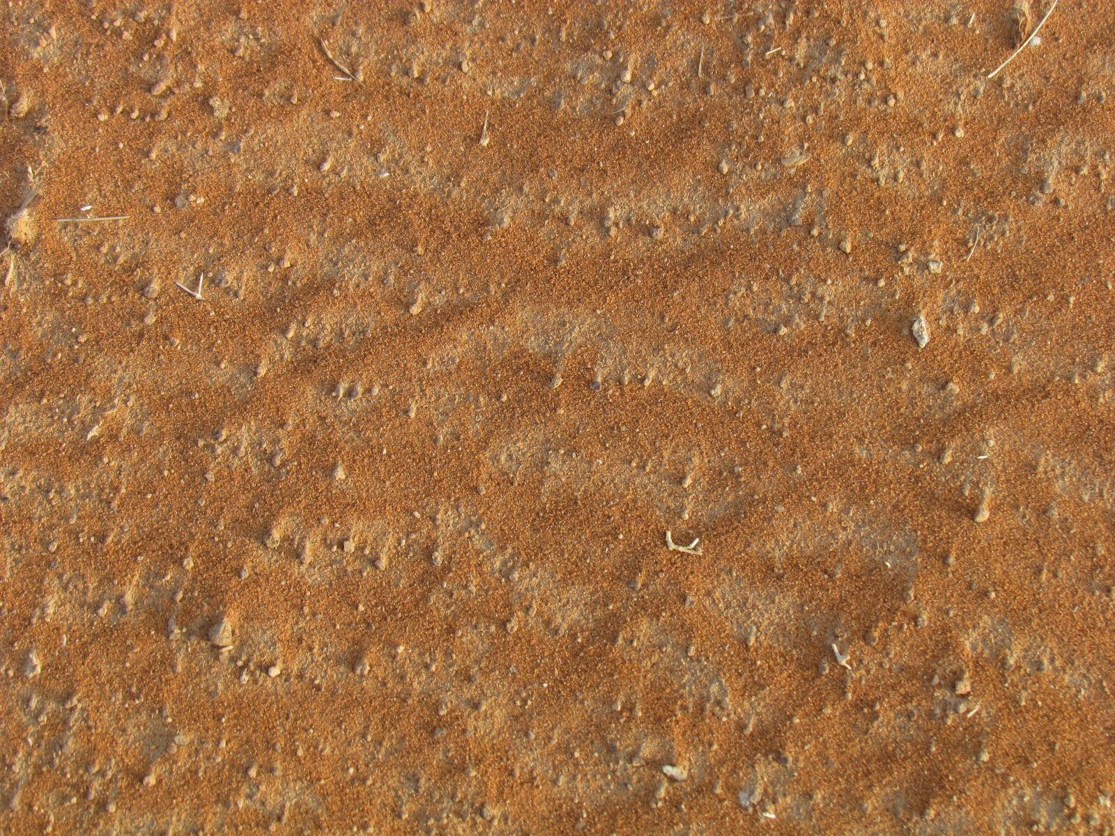 Wahiba Sands desert