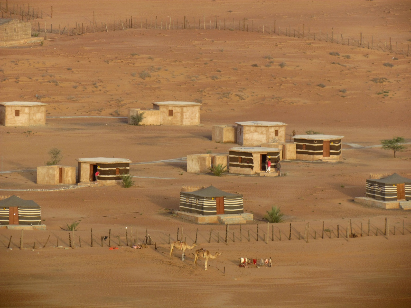 Wahiba Sands desert - Safari desert camp