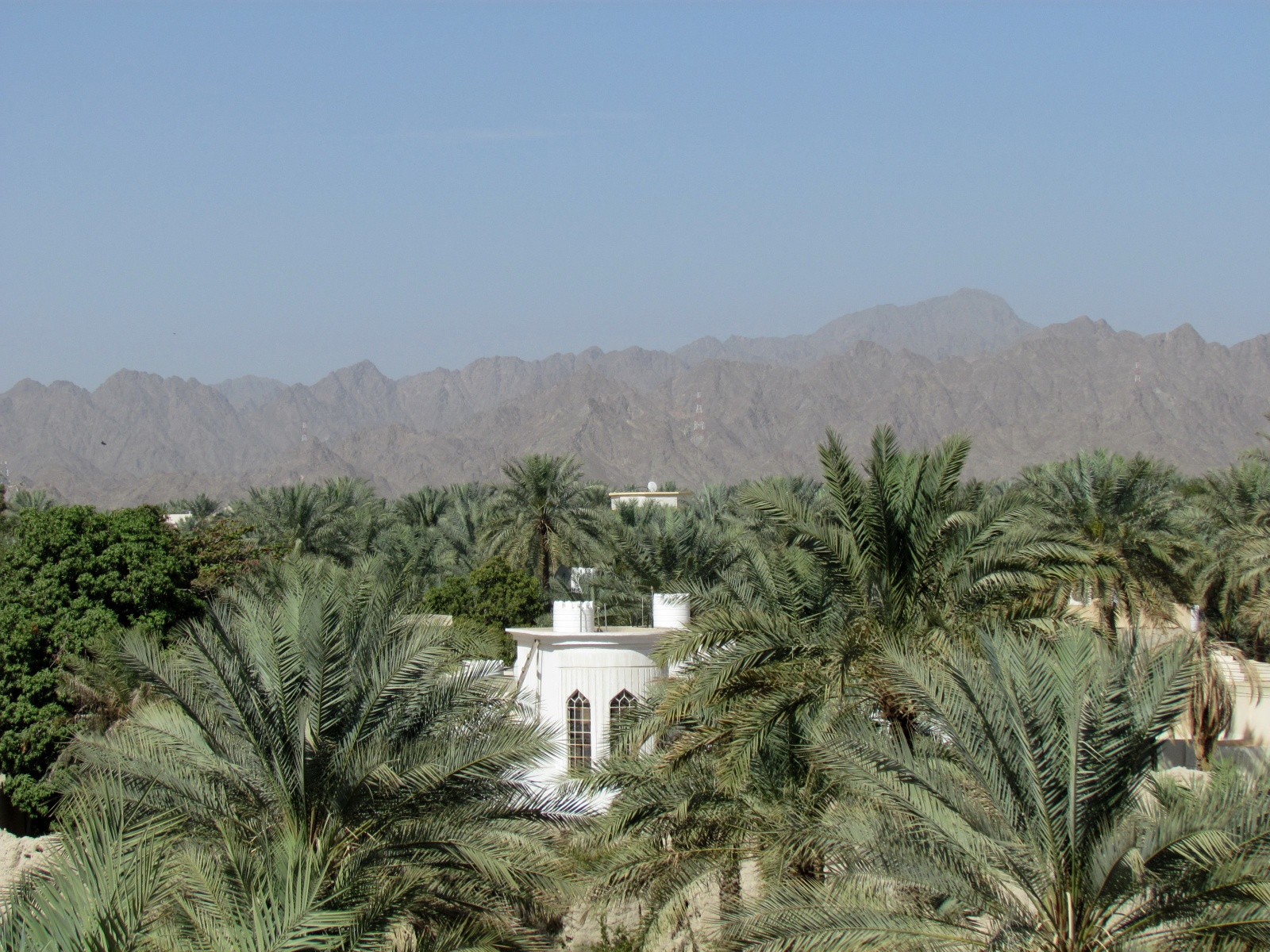 Nizwa