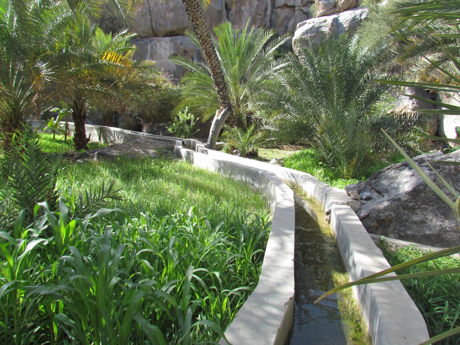 Misfat al Abryyin - Irrigation system