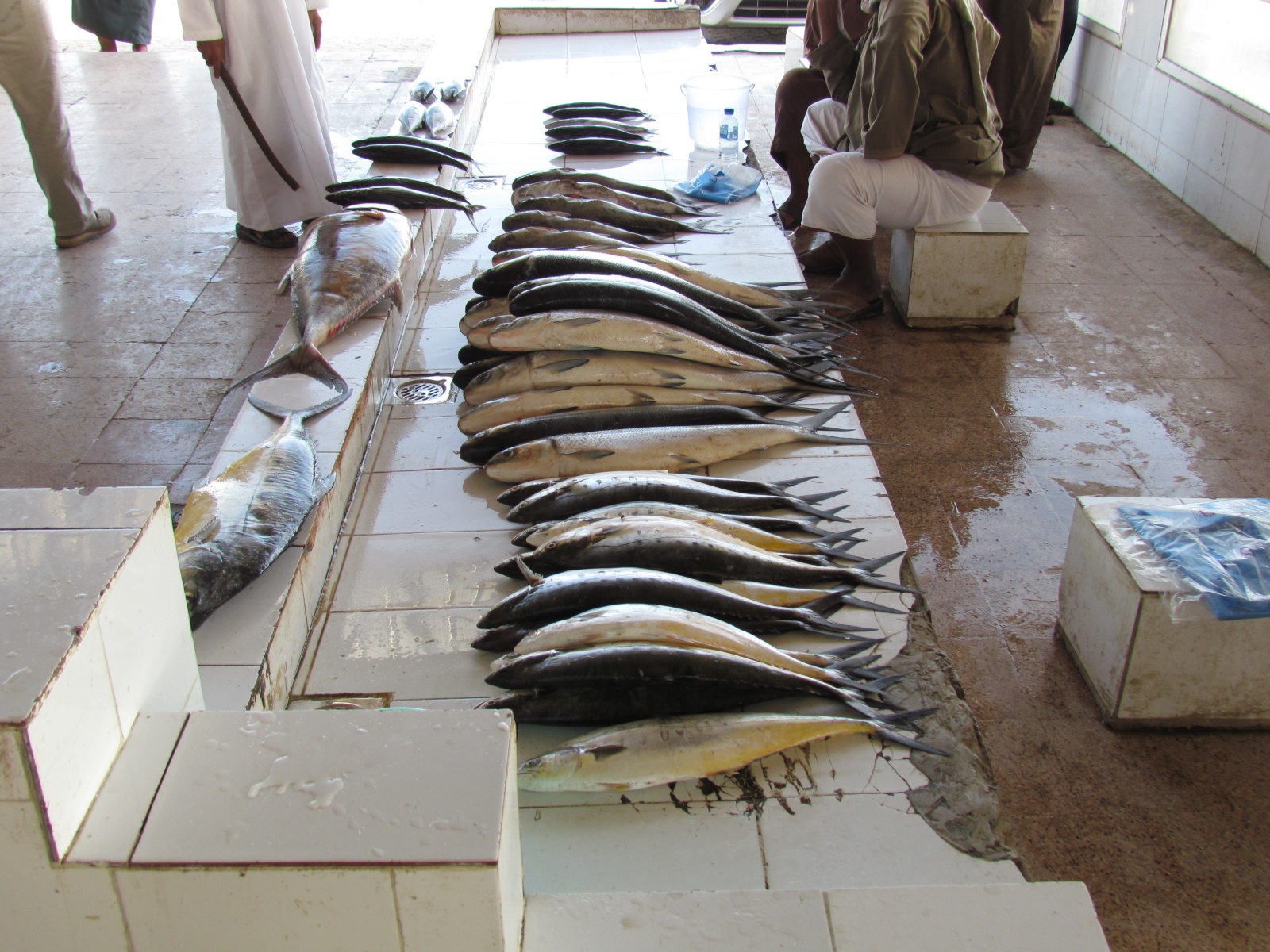 Barka - Fish market