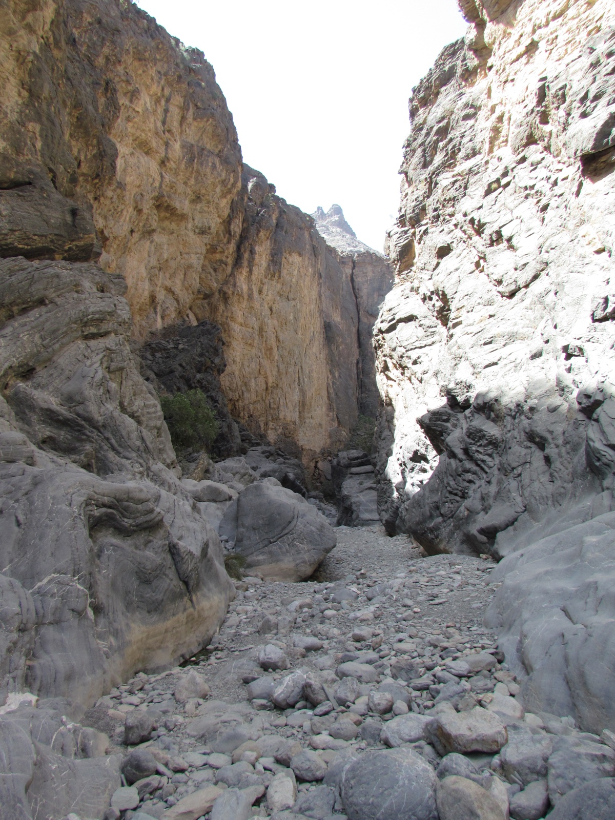 Wadi Bani Awf - Little Snake Valley