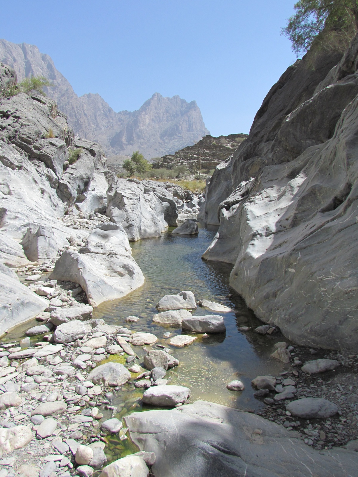 Wadi Bani Awf - Little Snake Valley