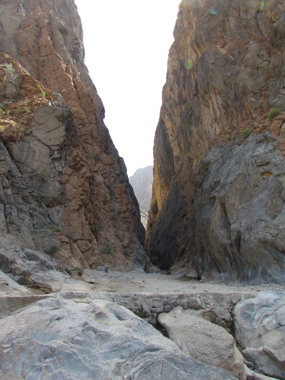 Wadi Bani Awf - Snake Gorge