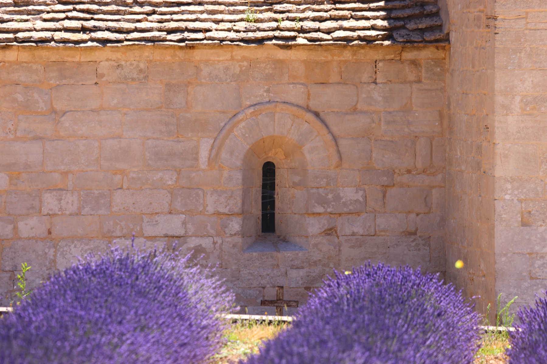 Abbaye Notre-Dame de Senanque - Window