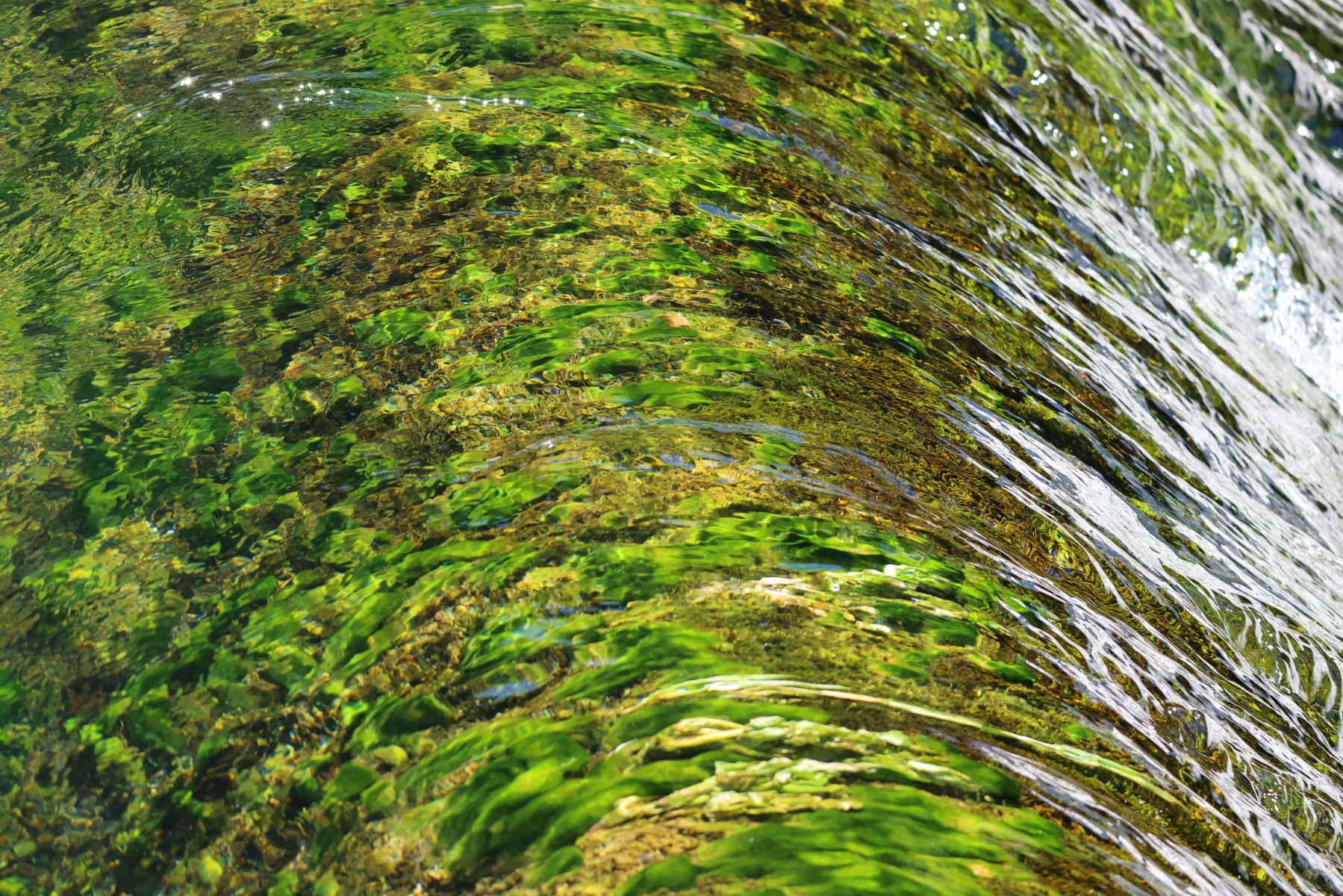 Fontaine de Vaucluse - Rapids