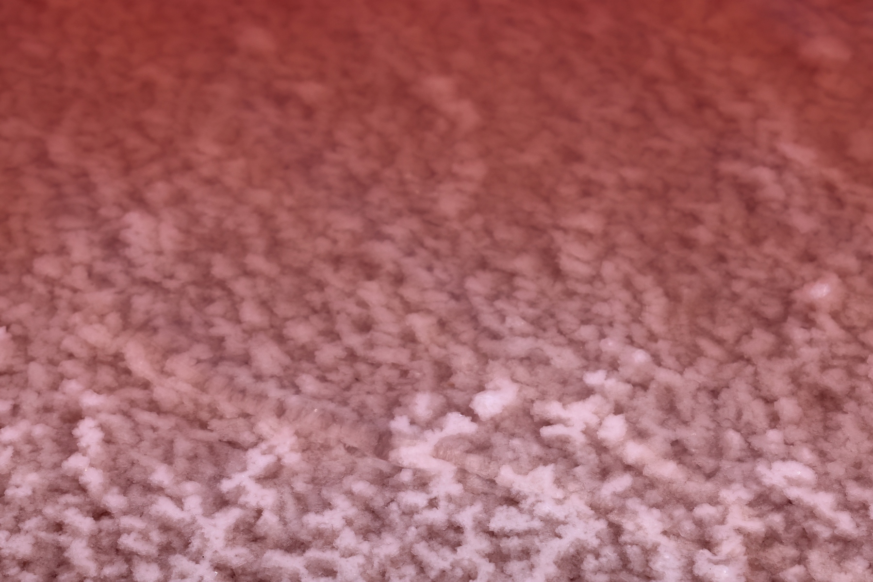 Salin de Giraud - Salt crystals