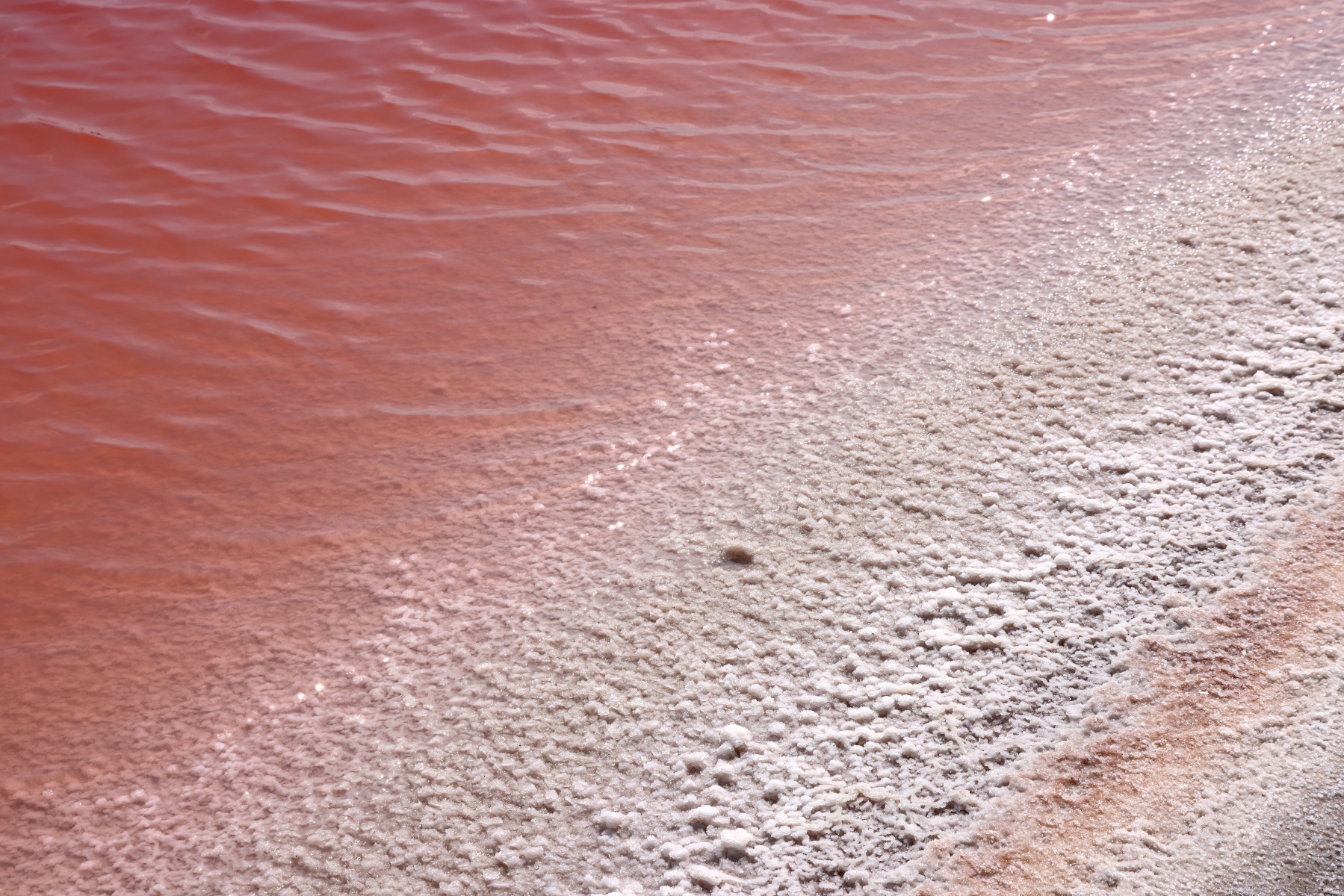 Salin de Giraud - Salt crystals