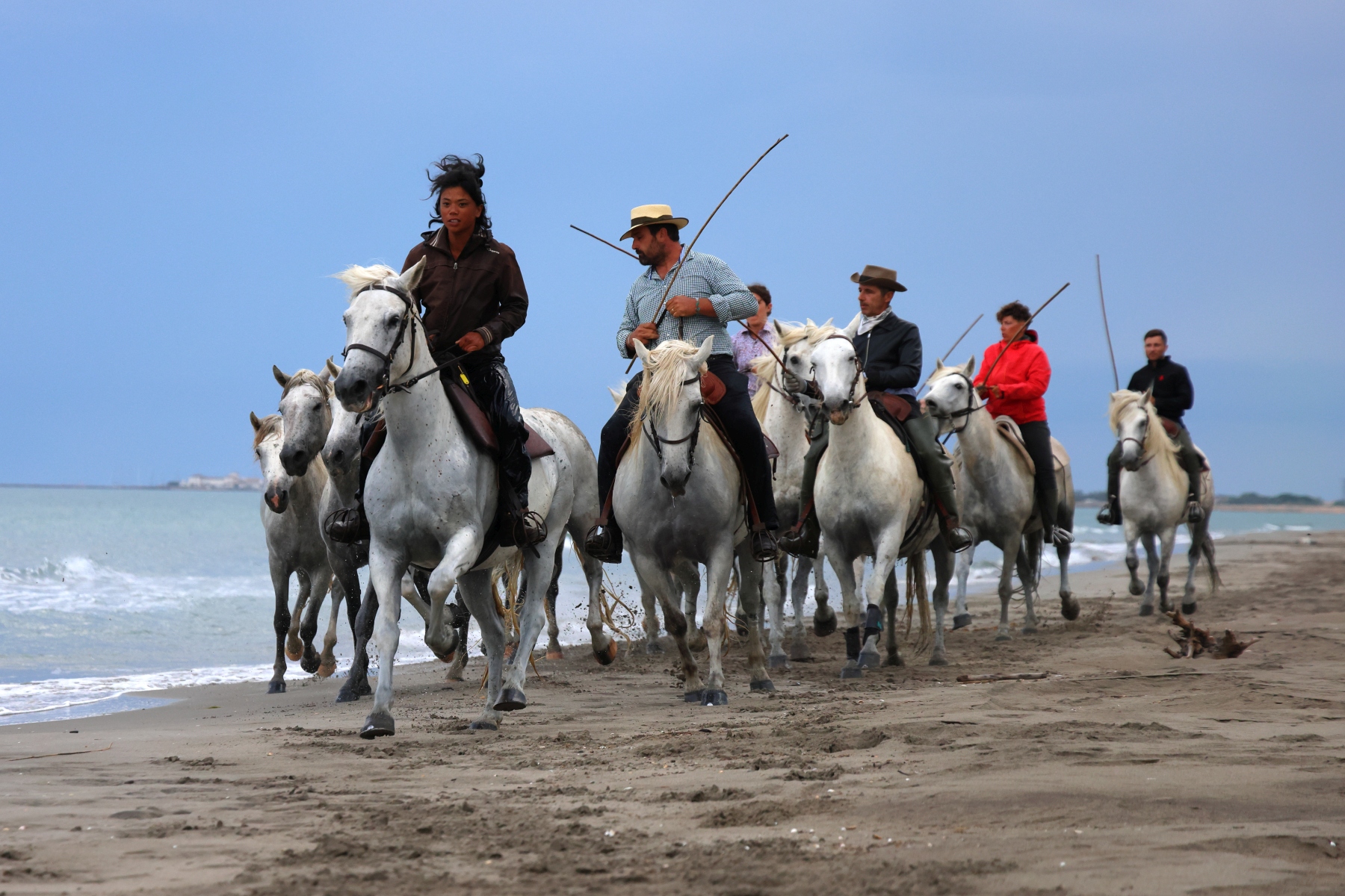 Saintes-Maries-de-la-Mer - Camargue horses