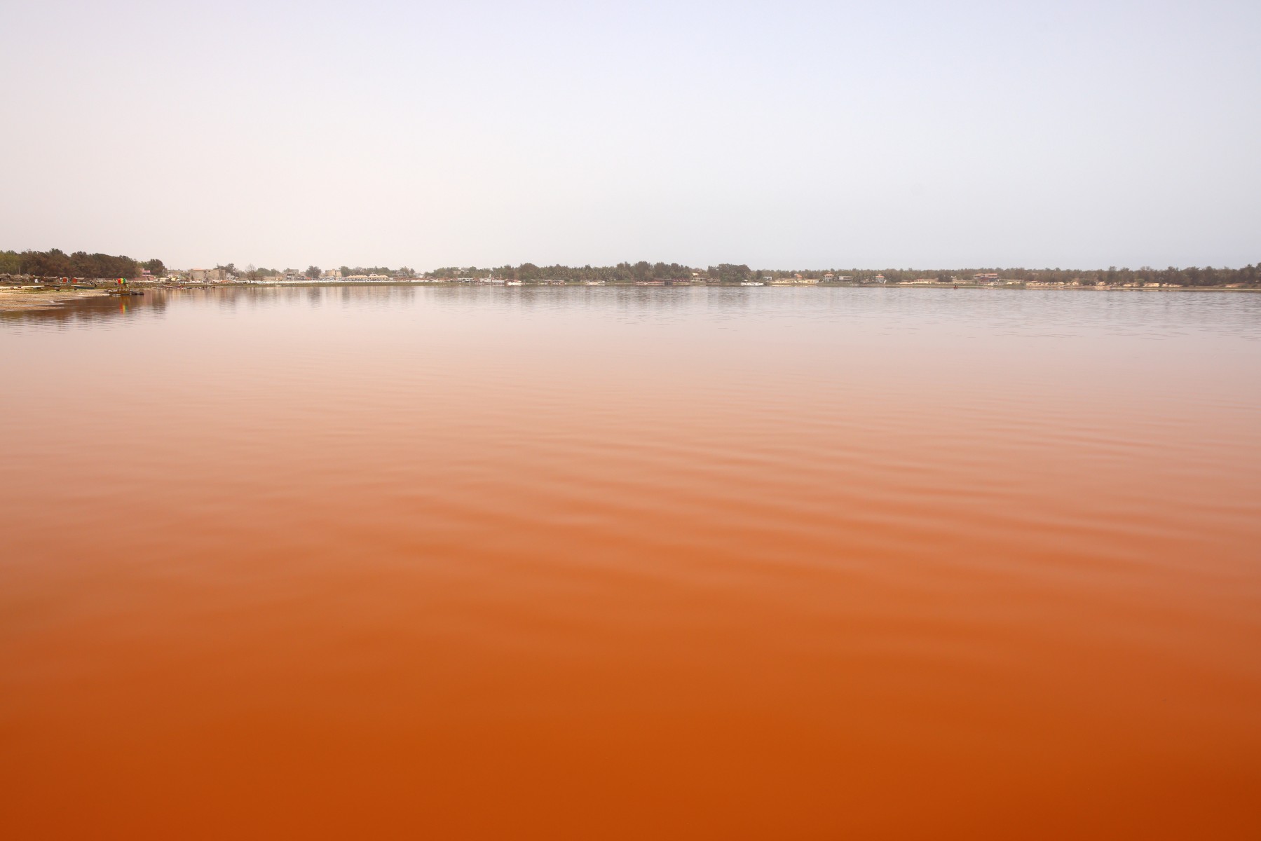 Lac Rose