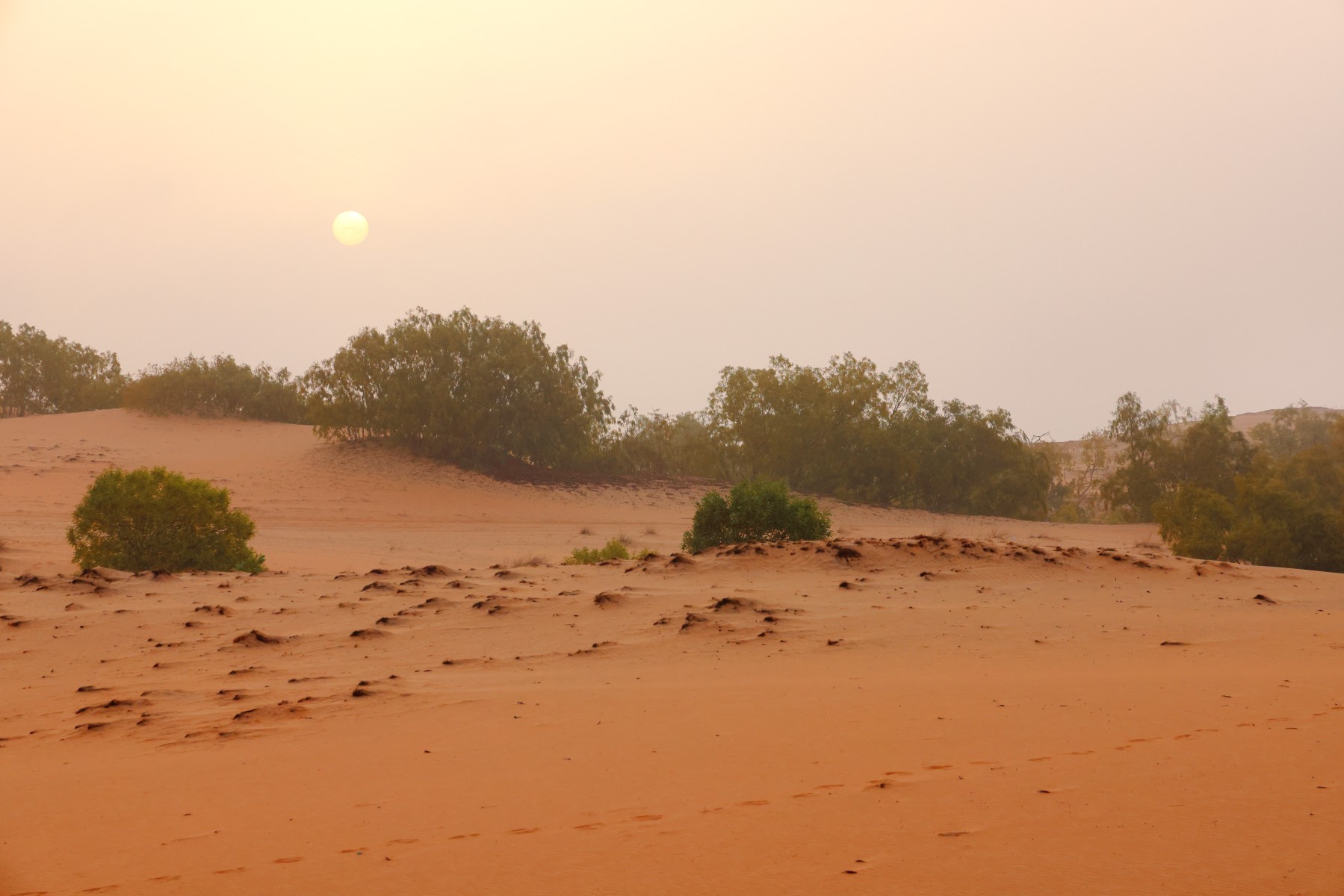 Ecolodge de Lompoul - Sunrise in the desert