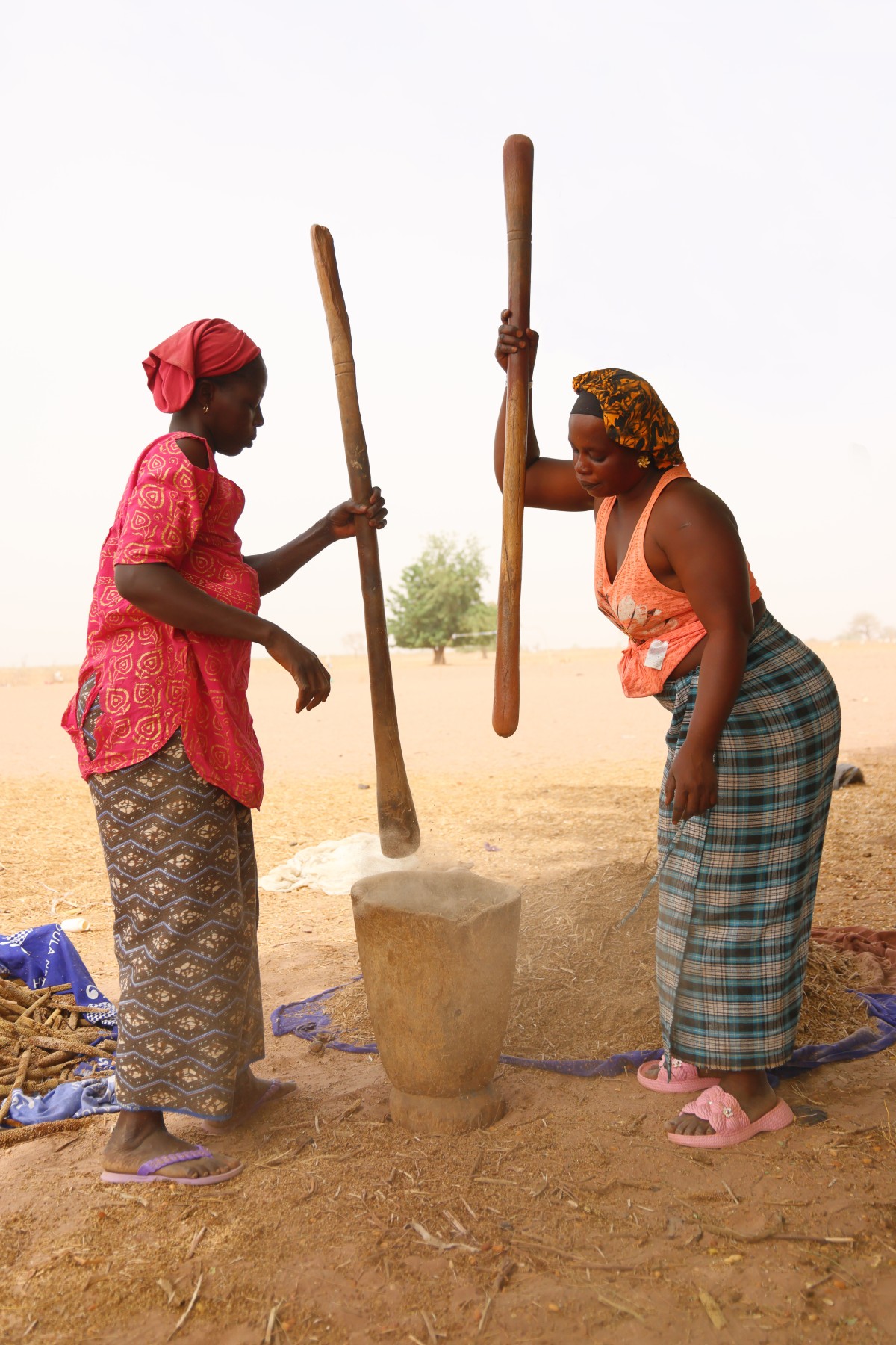 Sine Ngayene - Pearl millet milling