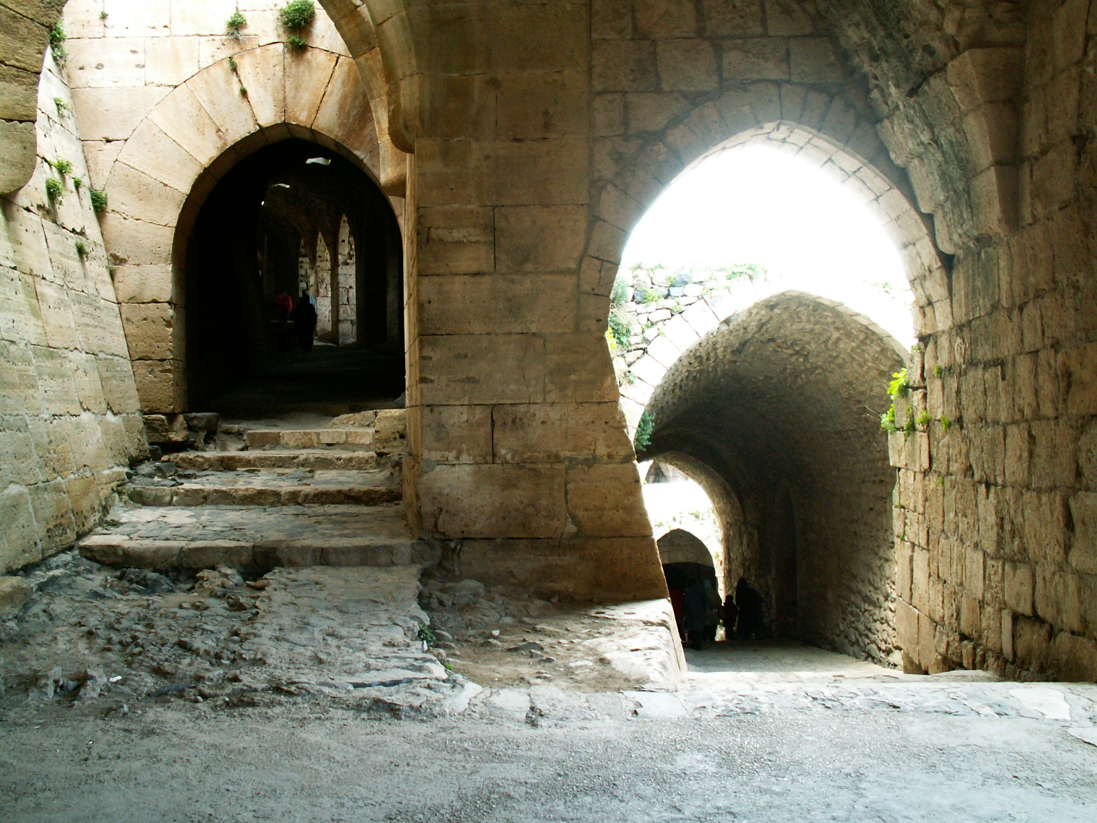 Near Homs - Krak Des Chevaliers