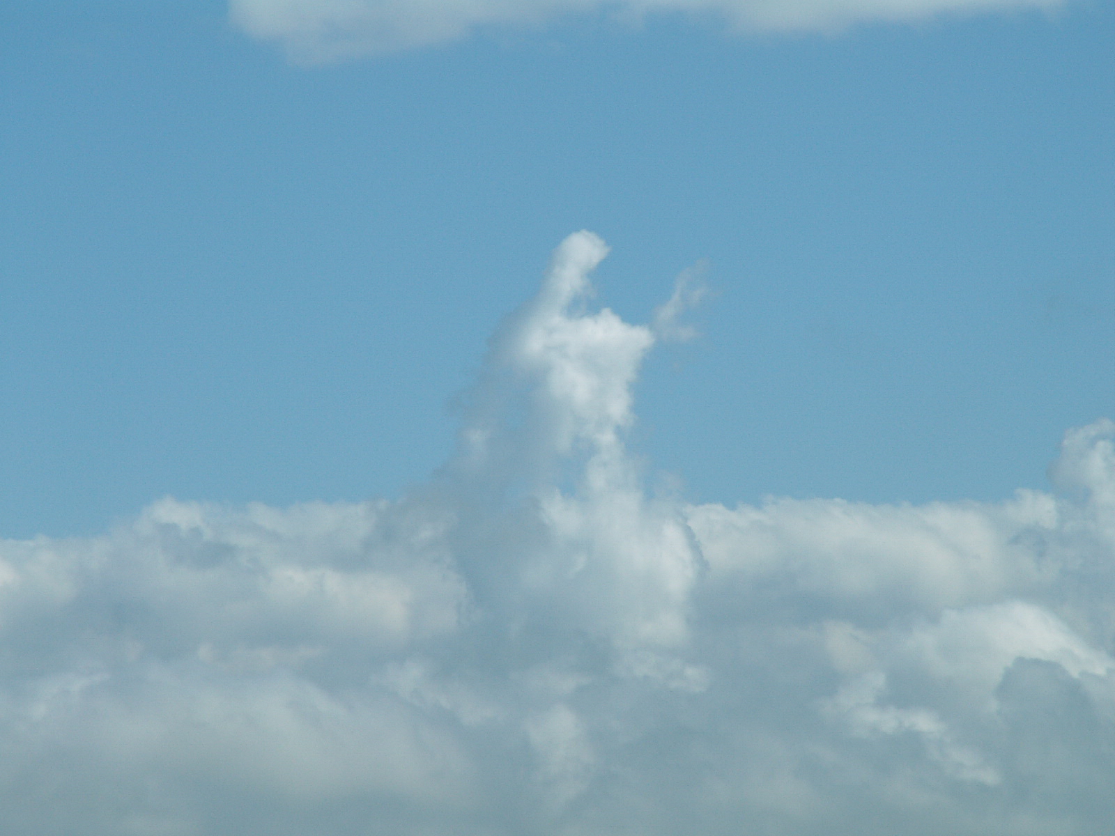 Near Homs - Krak Des Chevaliers - Does this cloud want to say something?