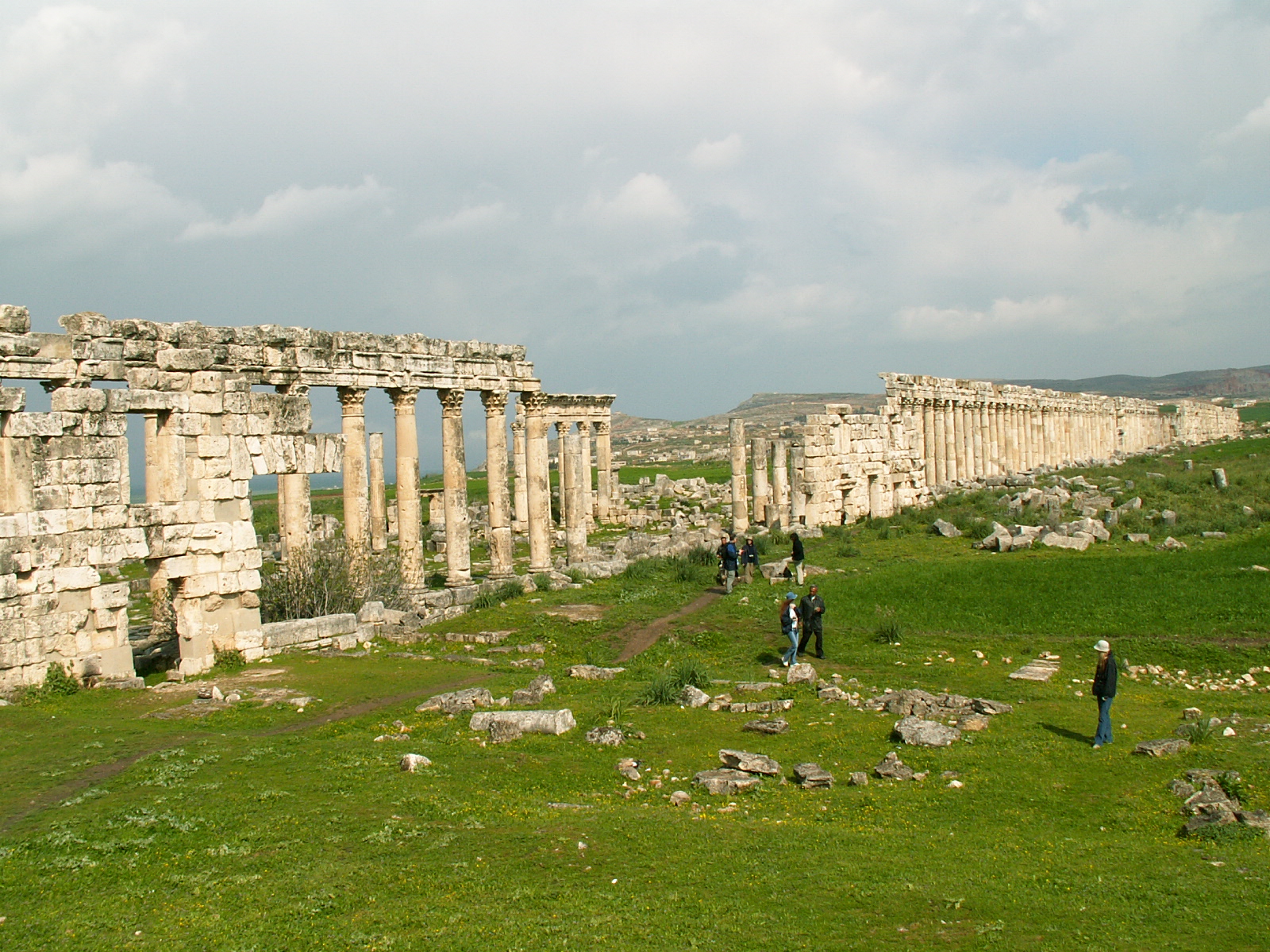 Apamea