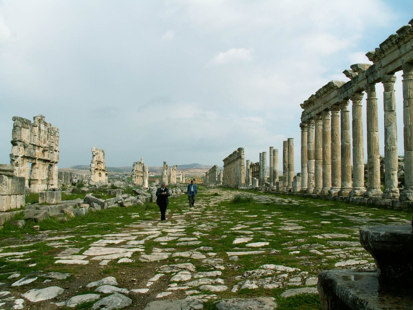 Apamea