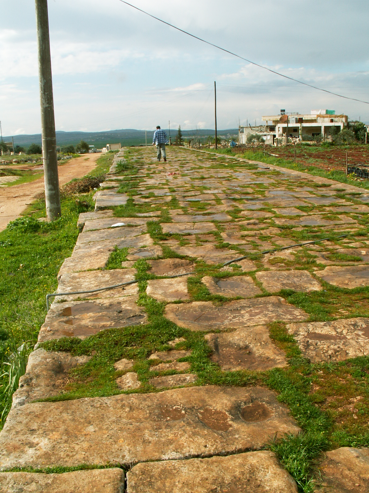Near Aleppo - Romad road