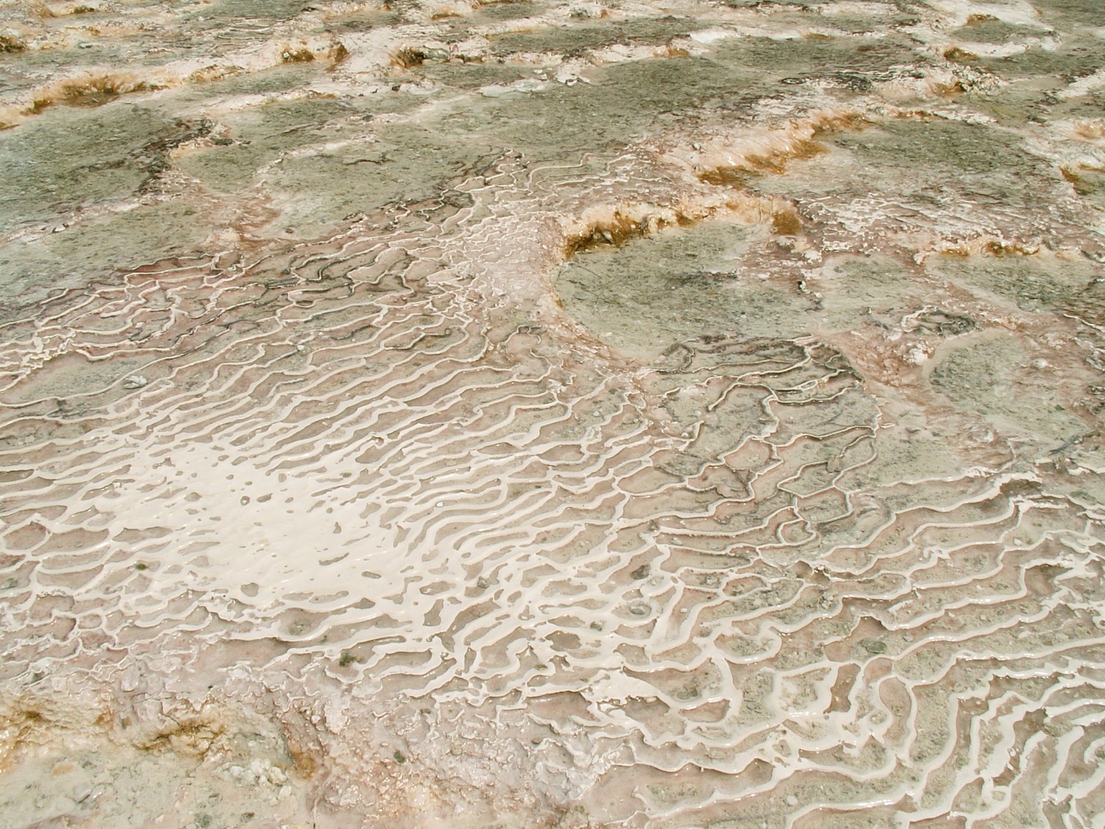 Pamukkale - Travertines