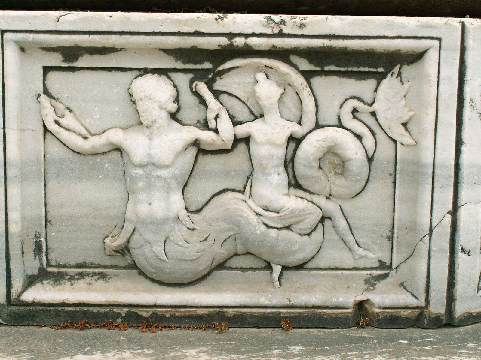 Didyma