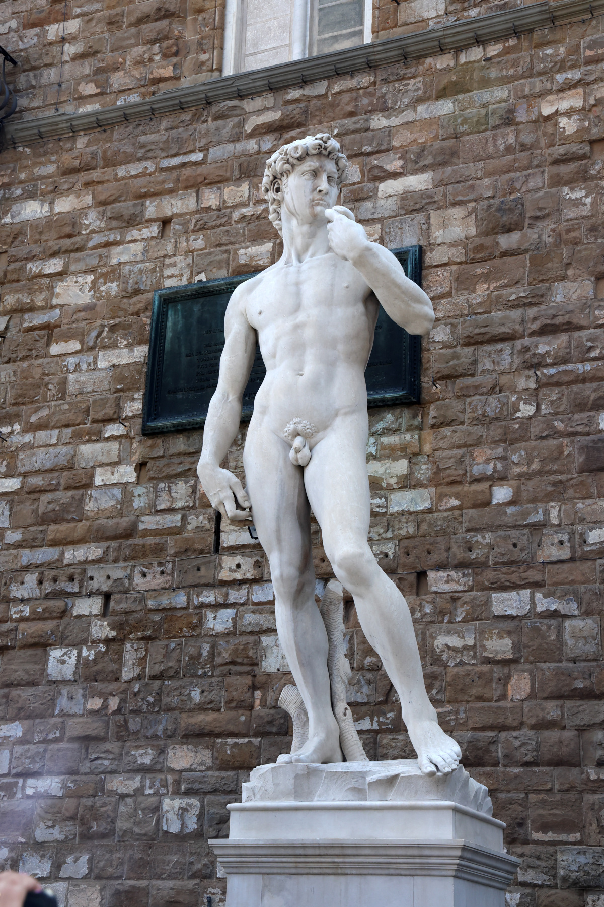 Firenze - Palazzo Vecchio - David