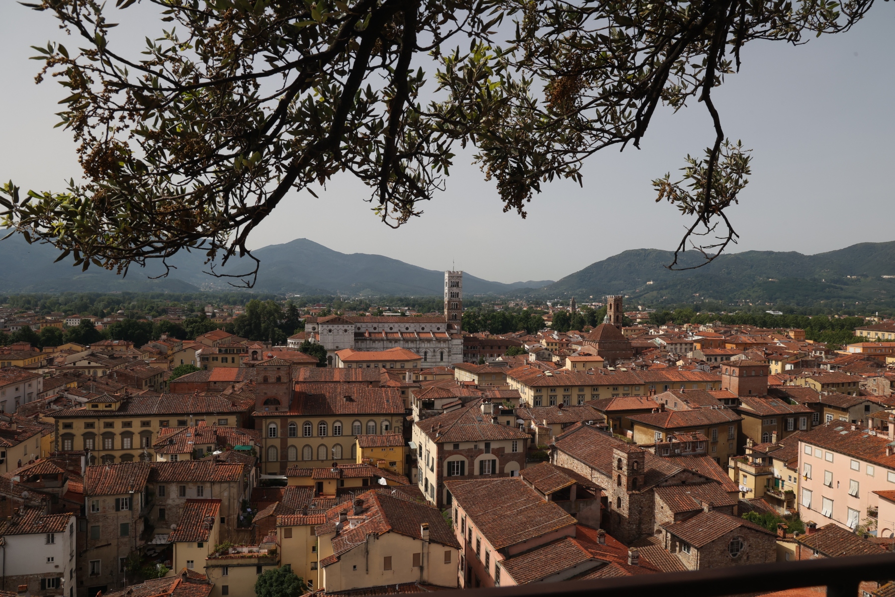 Lucca - Cattedrale di San Martino