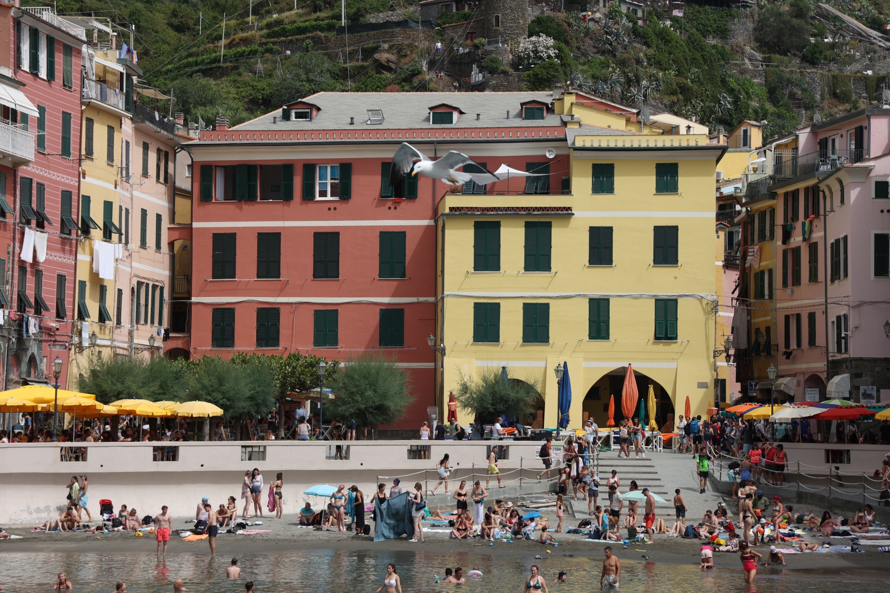 Vernazza