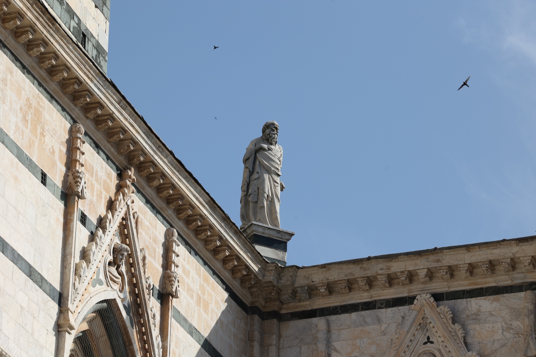 Siena - Duomo di Siena