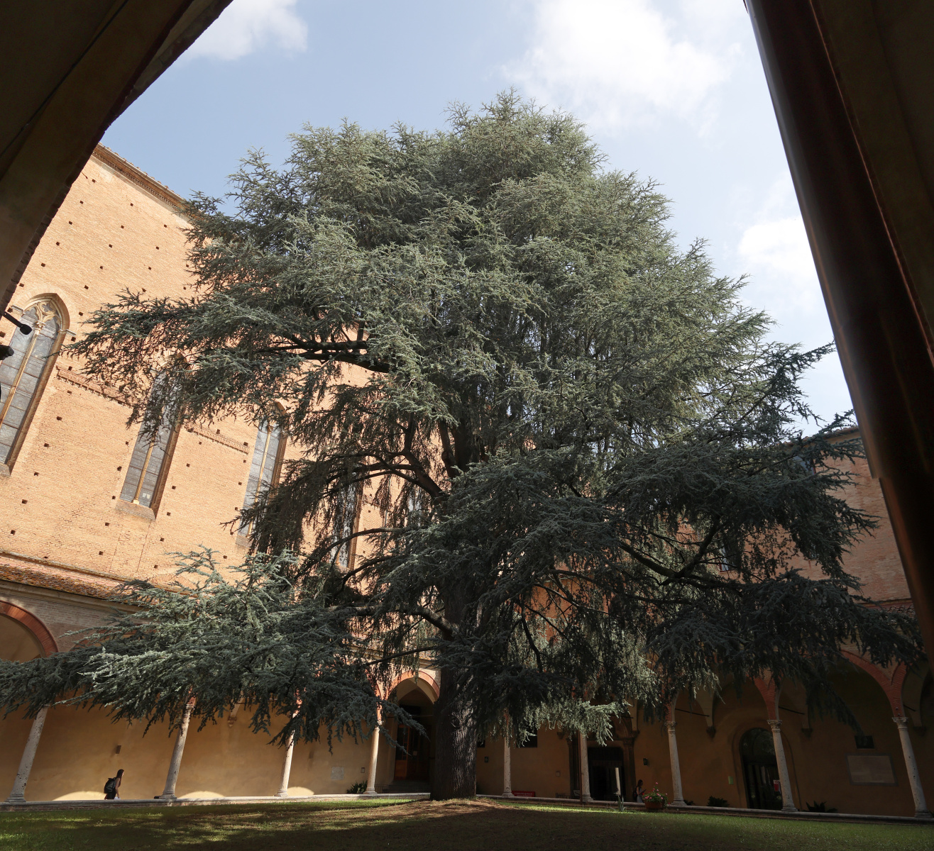 Siena - Basilica di San Francesco - Courtyard