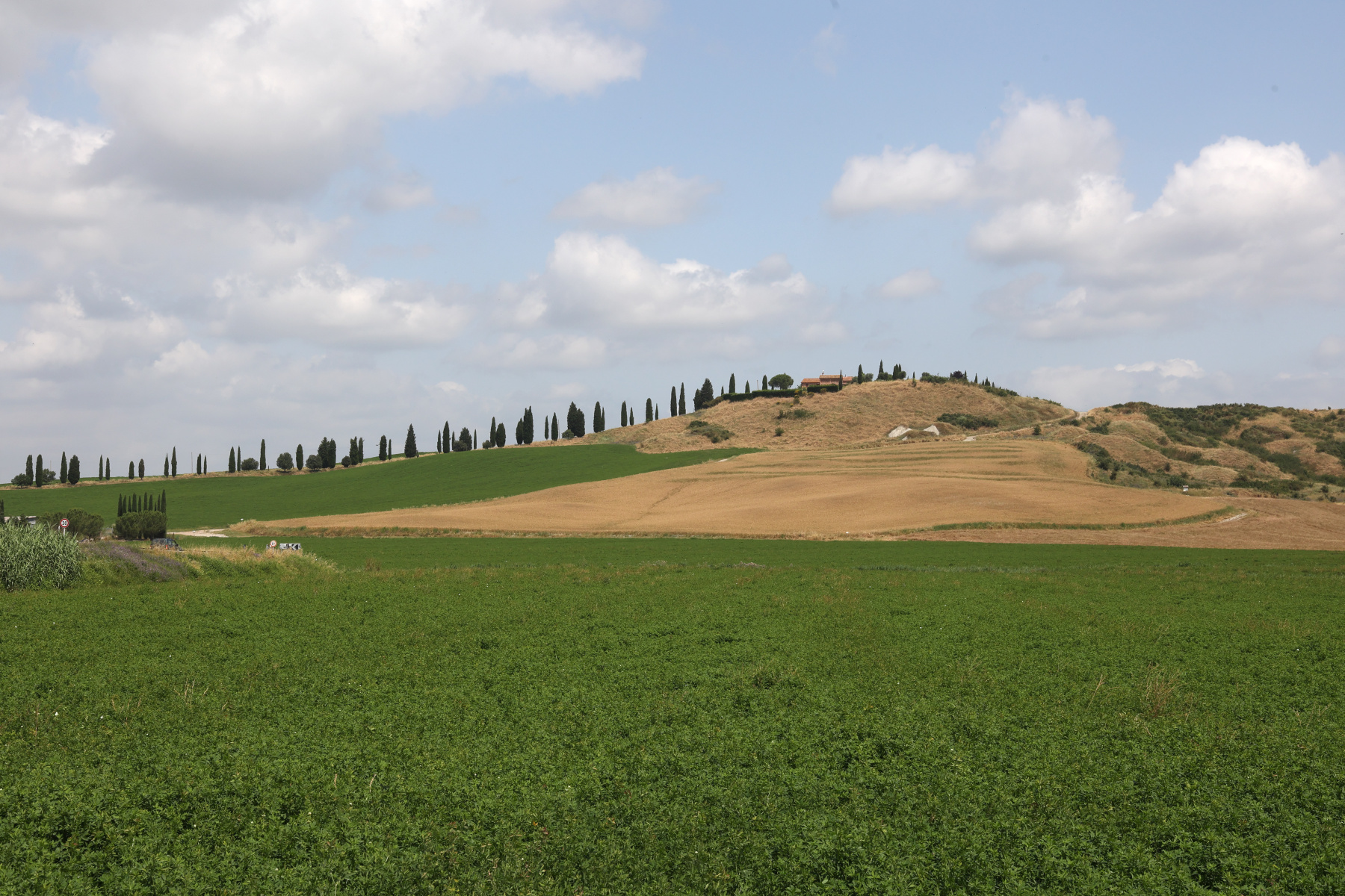 Podere Fiorentine di Sopra