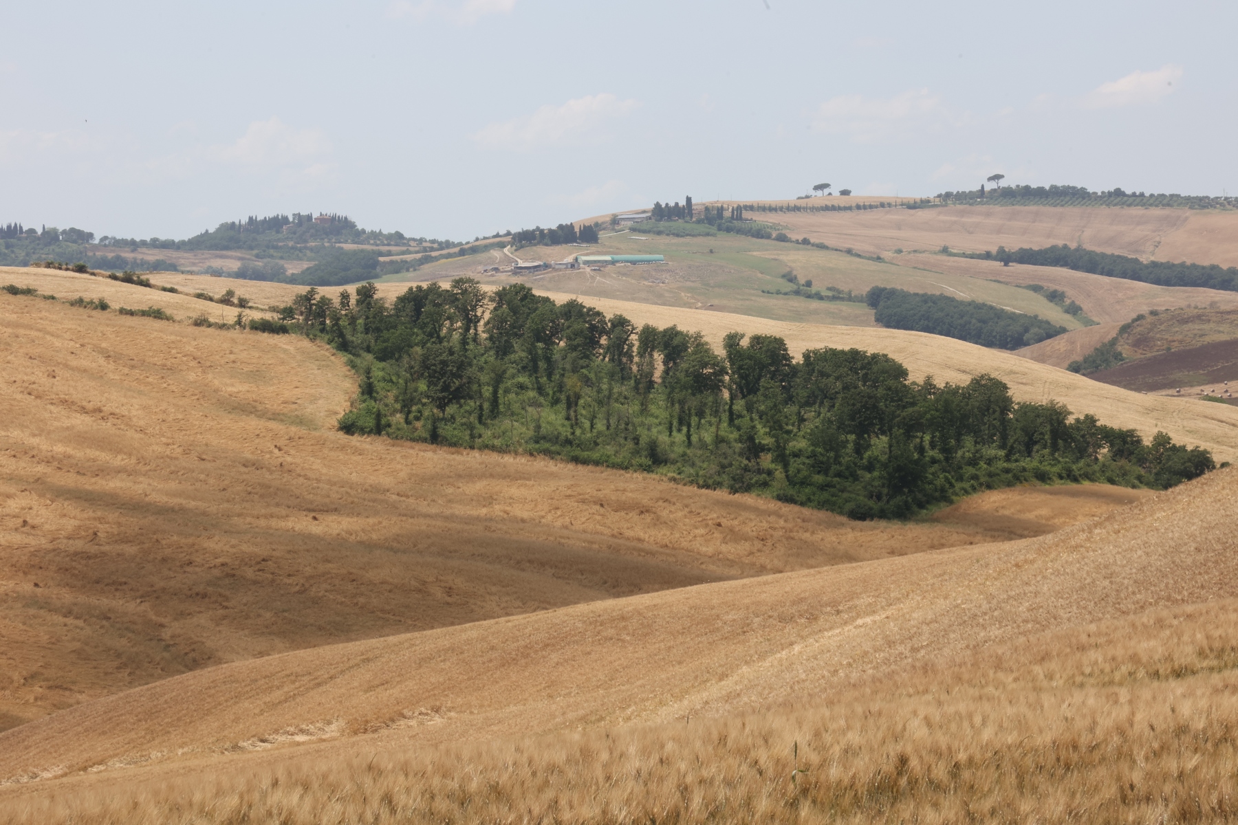 Near Agriturismo Baccoleno