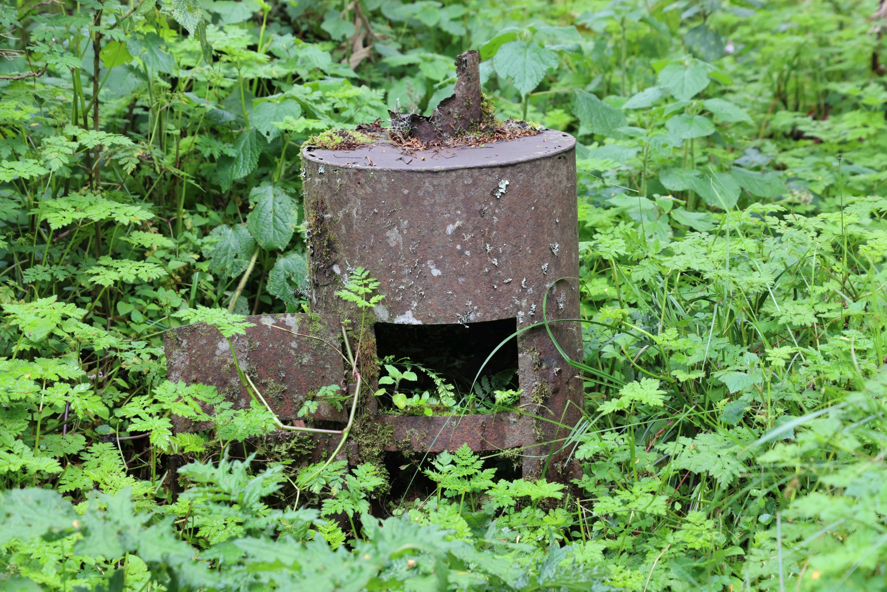 Rwanda - Volcanoes national park - Stove