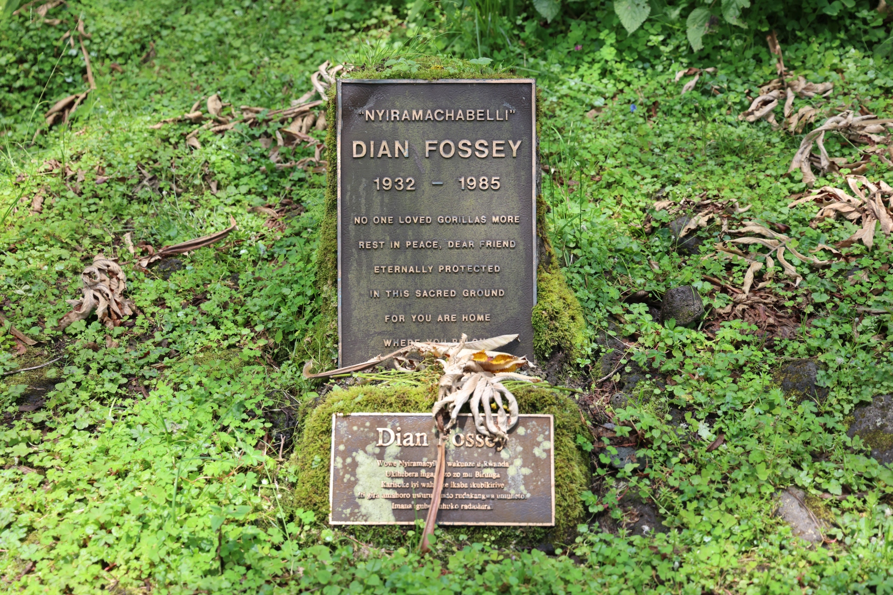 Rwanda - Volcanoes national park - Dian Fossey grave