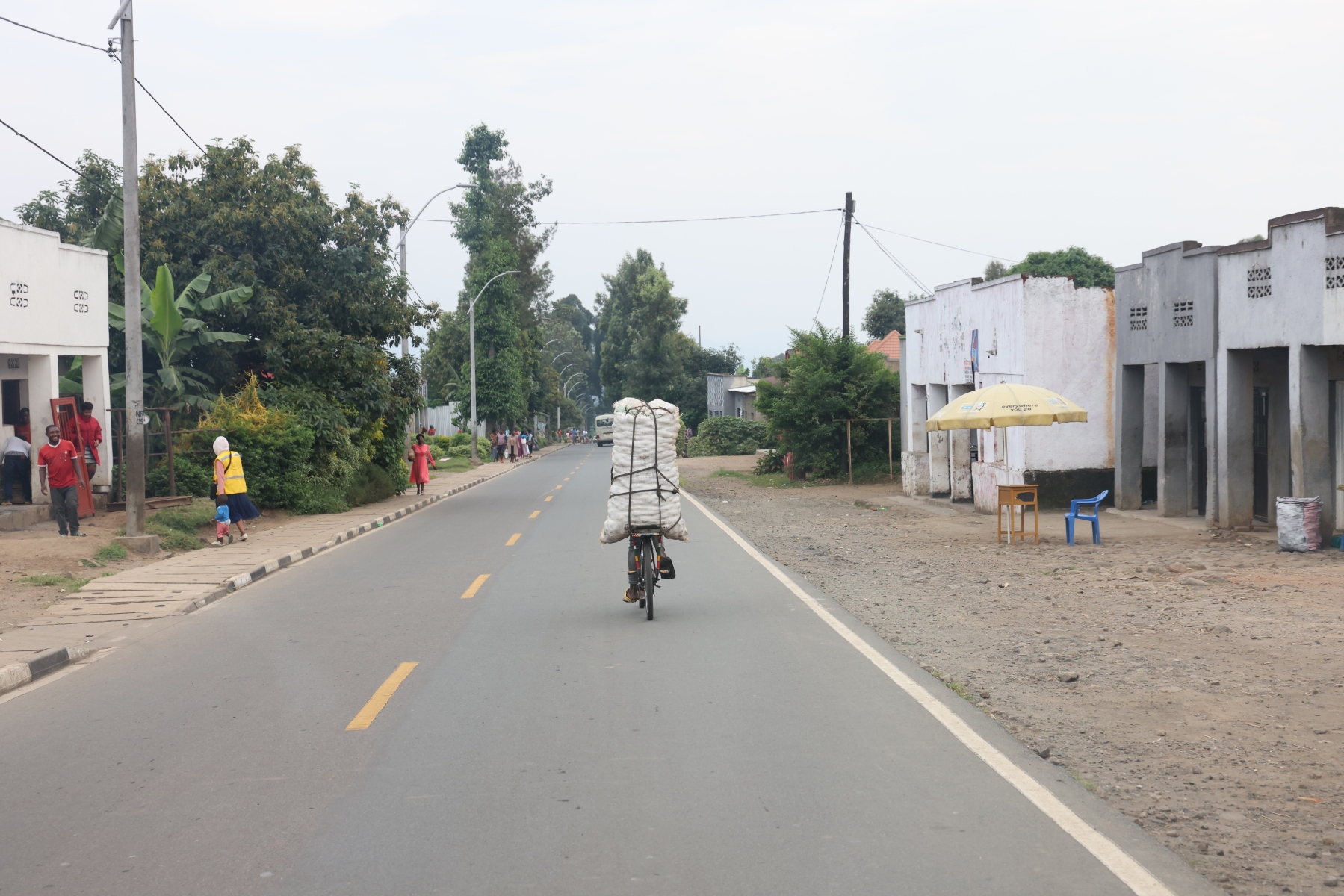 Rwanda - Near Ruhengeri - Transporting potatoes on a bicycle