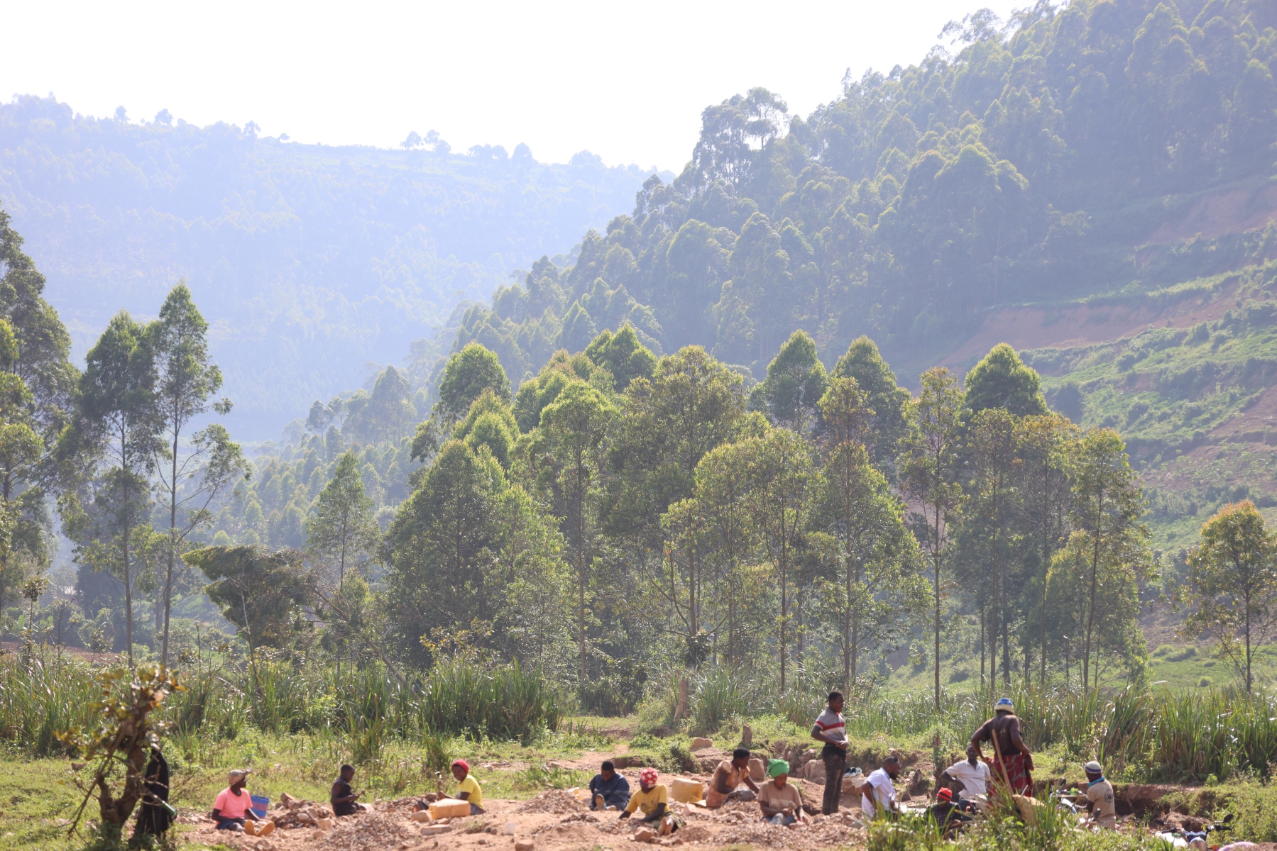 Uganda - Near Kashenyi