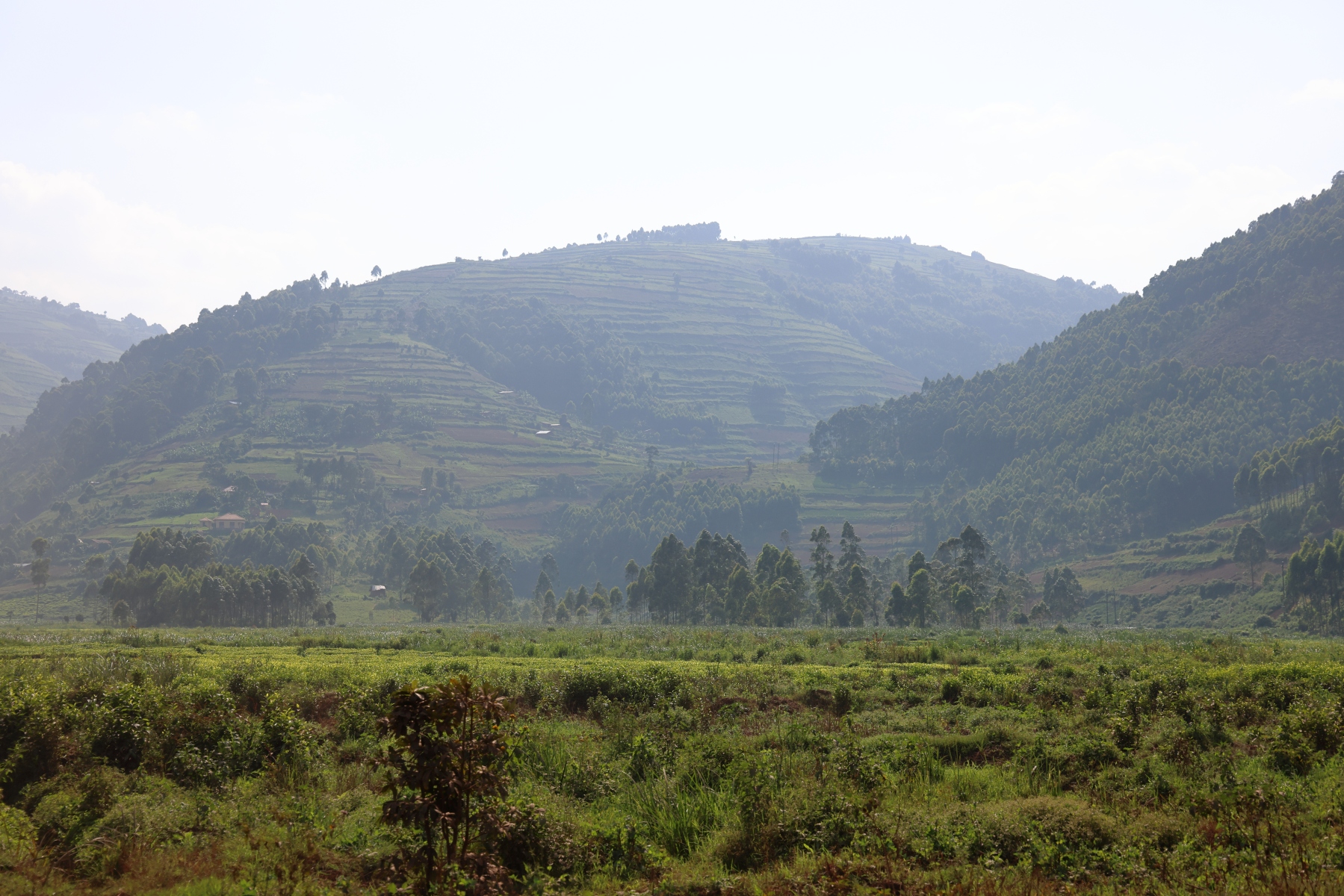 Uganda - Near Kumba