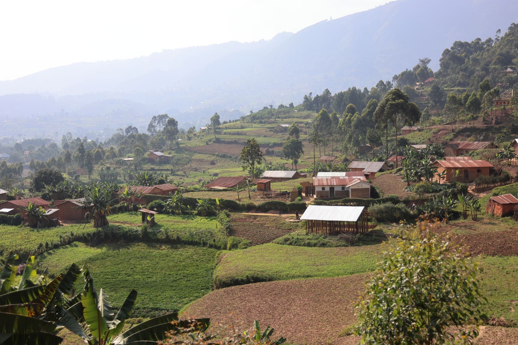 Uganda - Near Nyamabale