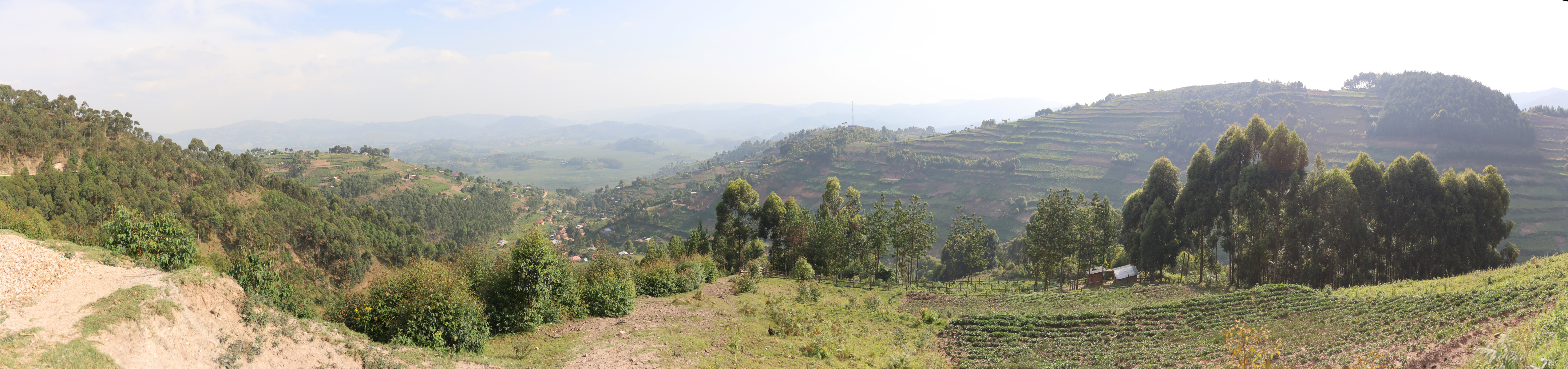 Uganda - Near Bwindi Impenetrable Forest entrance