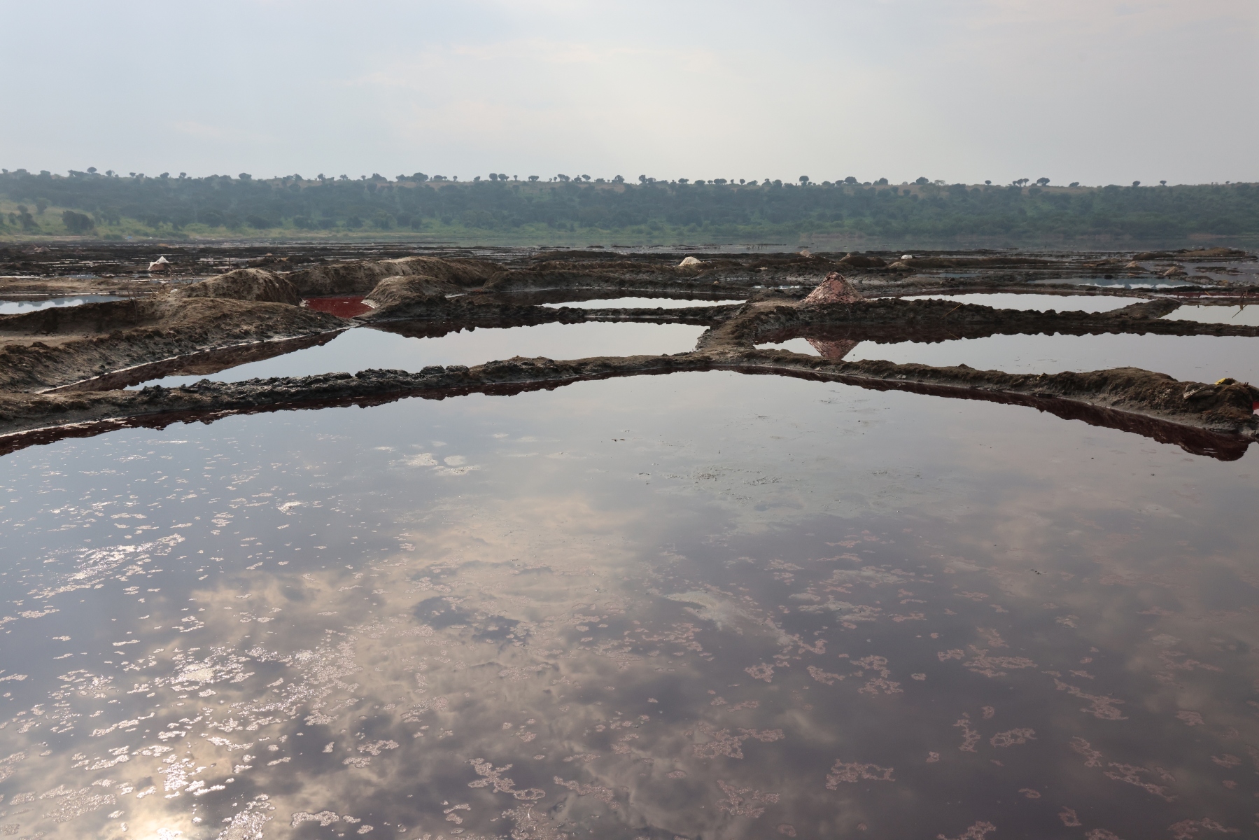 Uganda - Queen Elizabeth National Park - Salt lake Bunyampaka - Salt panes