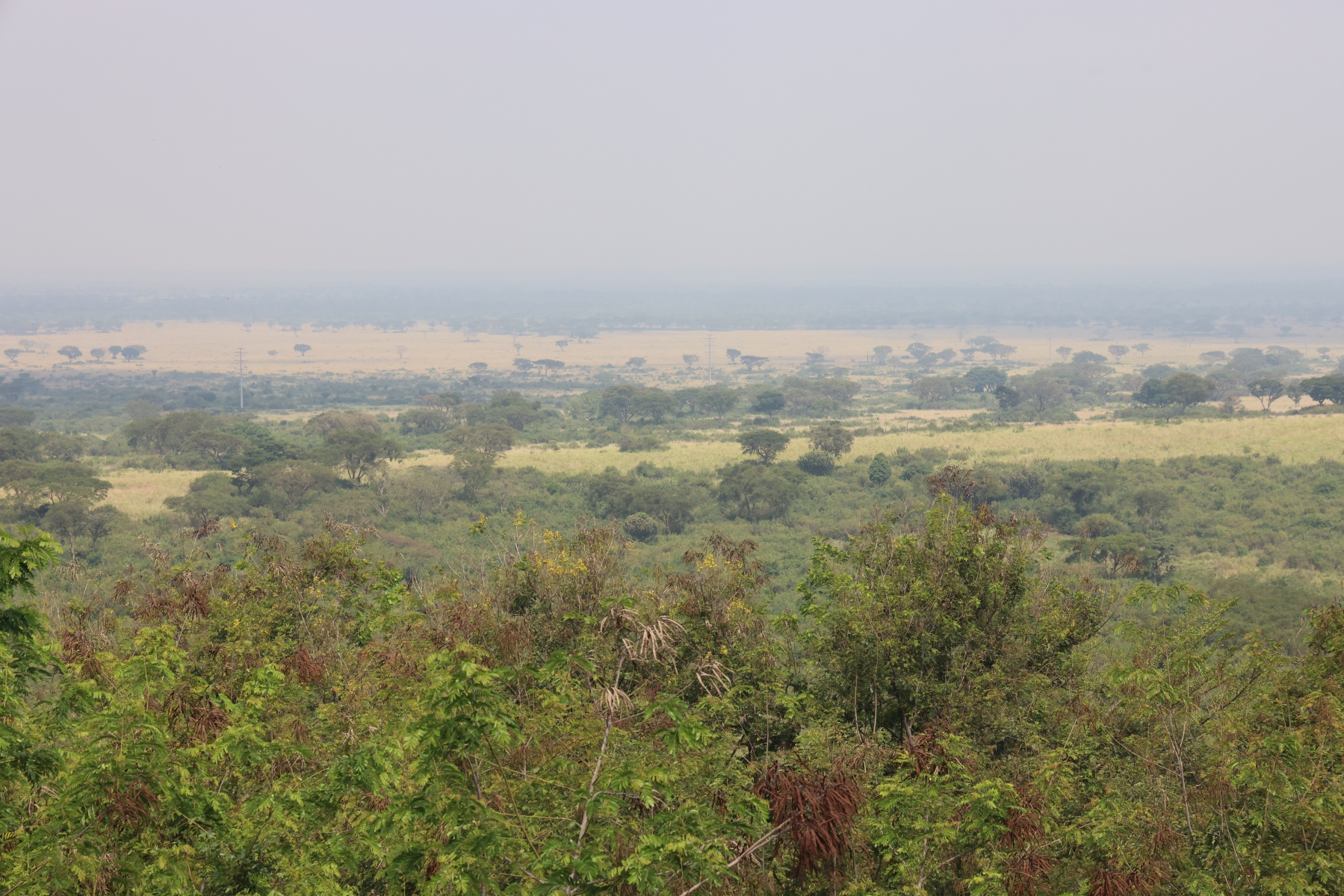 Uganda - Queen Elizabeth National Park