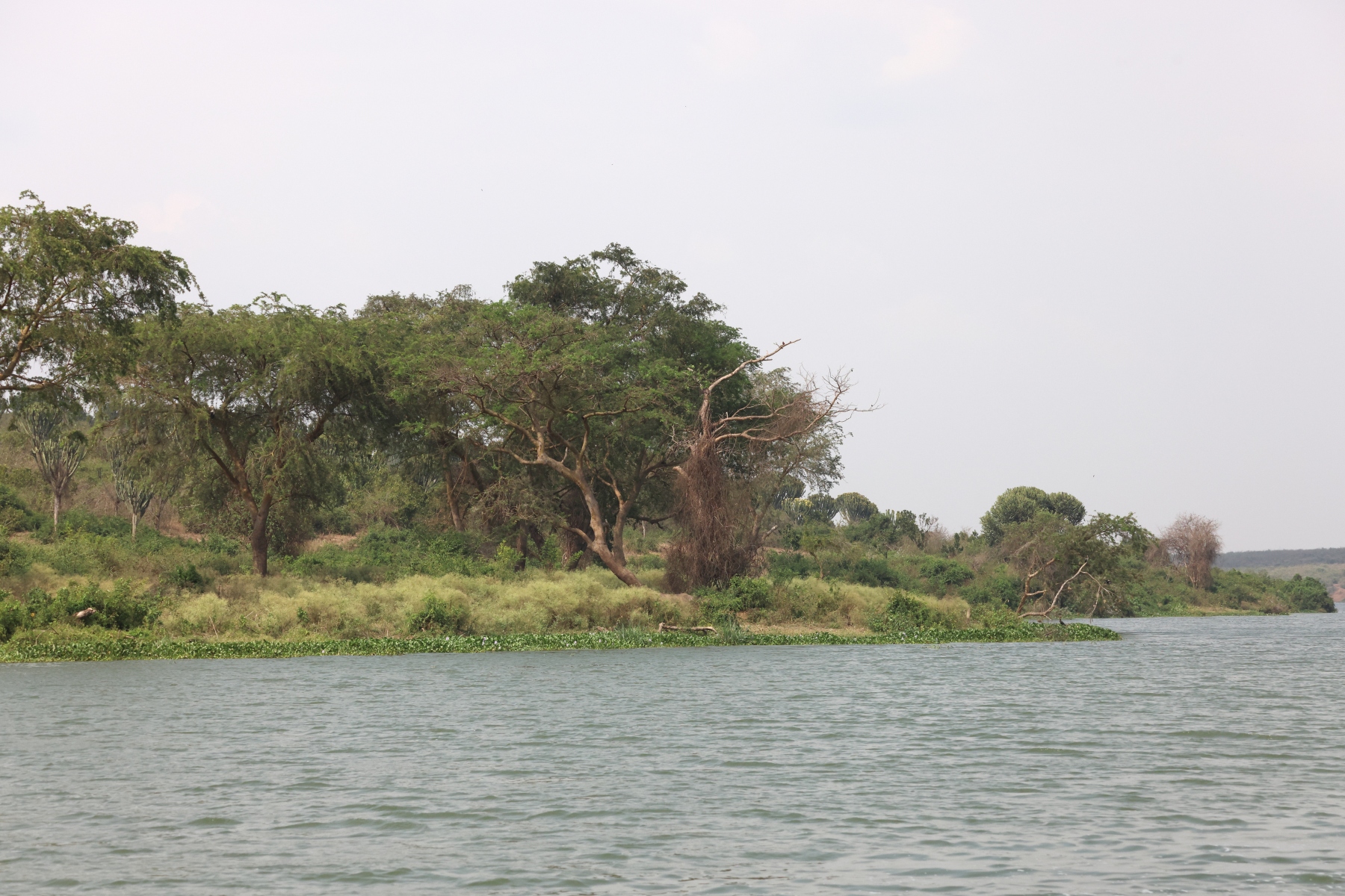 Uganda - Queen Elizabeth National Park