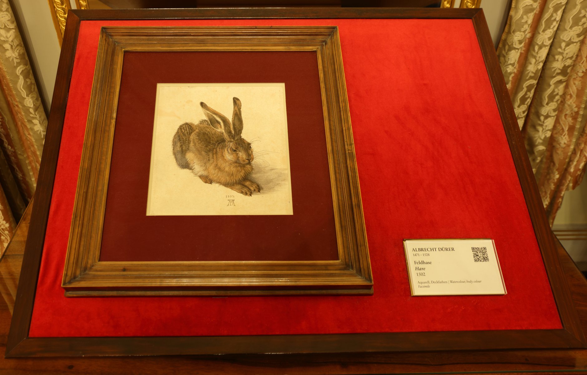 Albertina museum - Albrecht Dürer - Hare