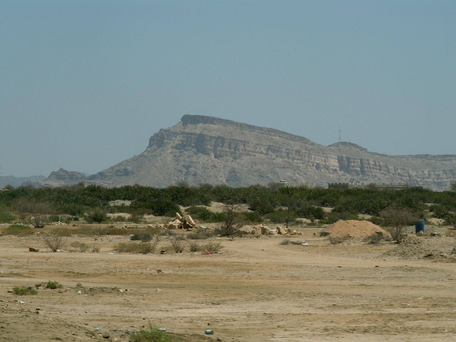 Near Al Mahfid