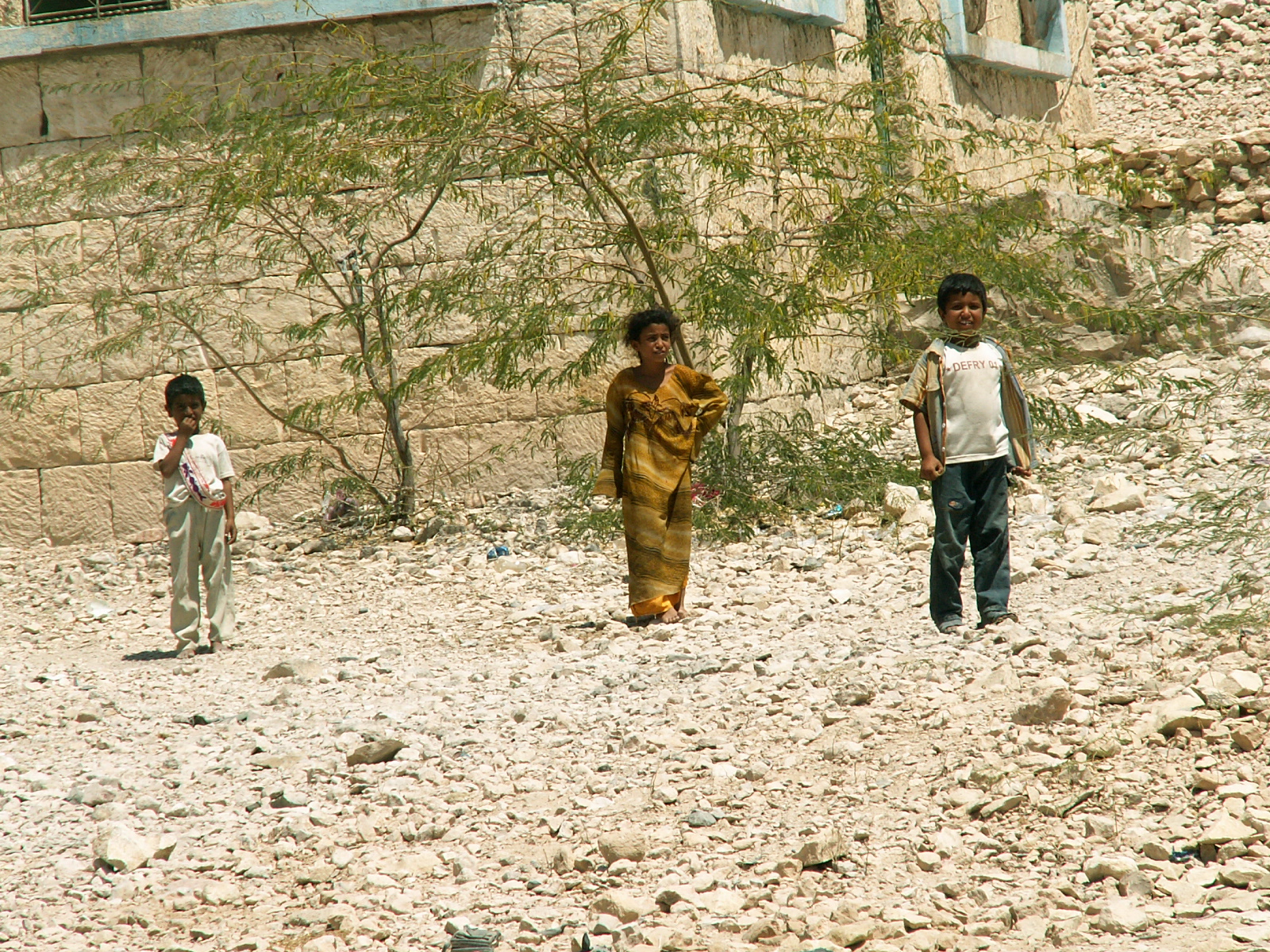 Near Al Mahfid