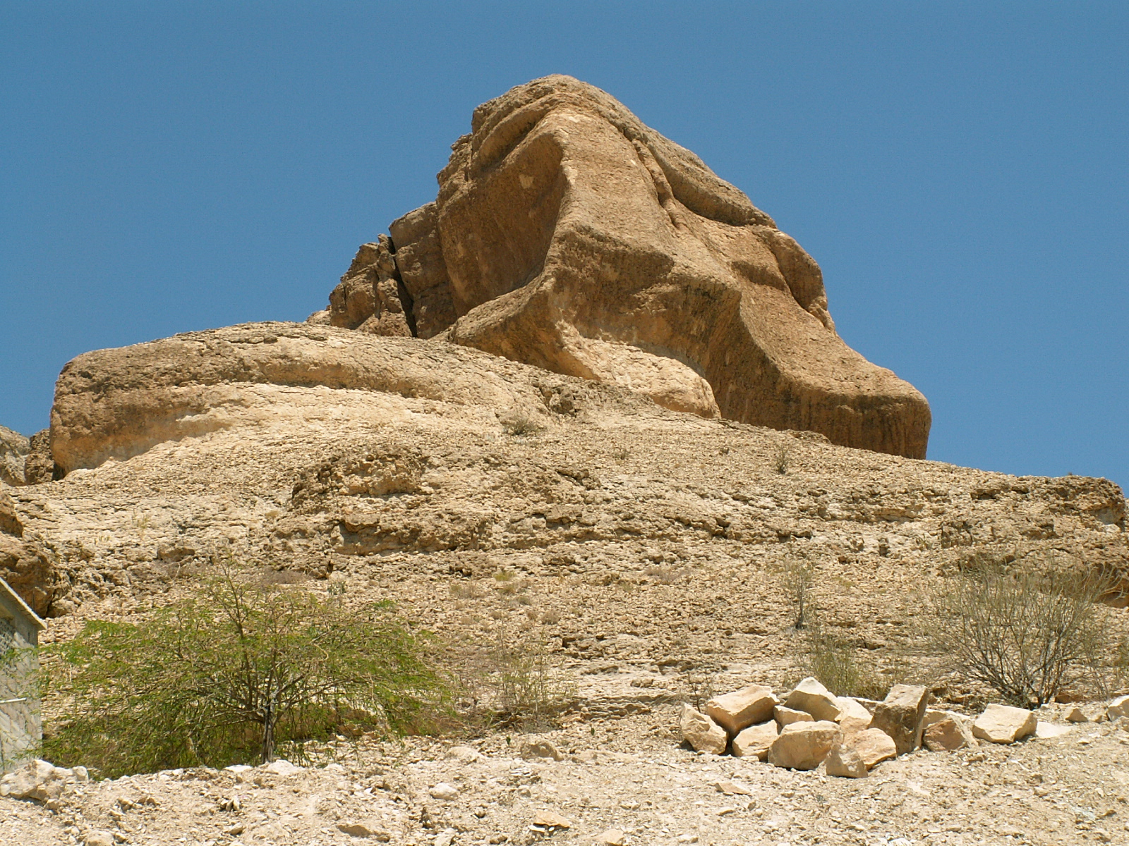 Near Al Mahfid
