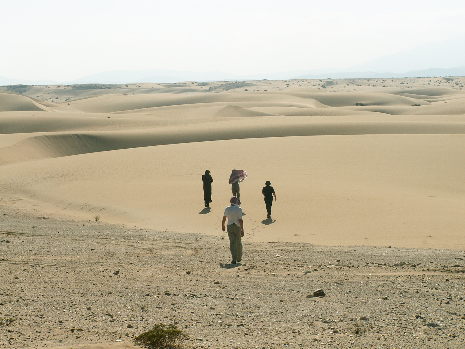 Near Indian Ocean - Desert